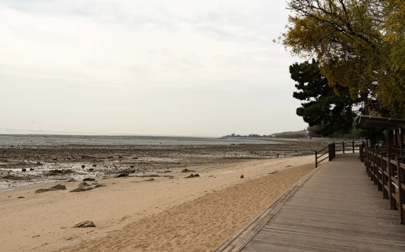 영종진해변 3