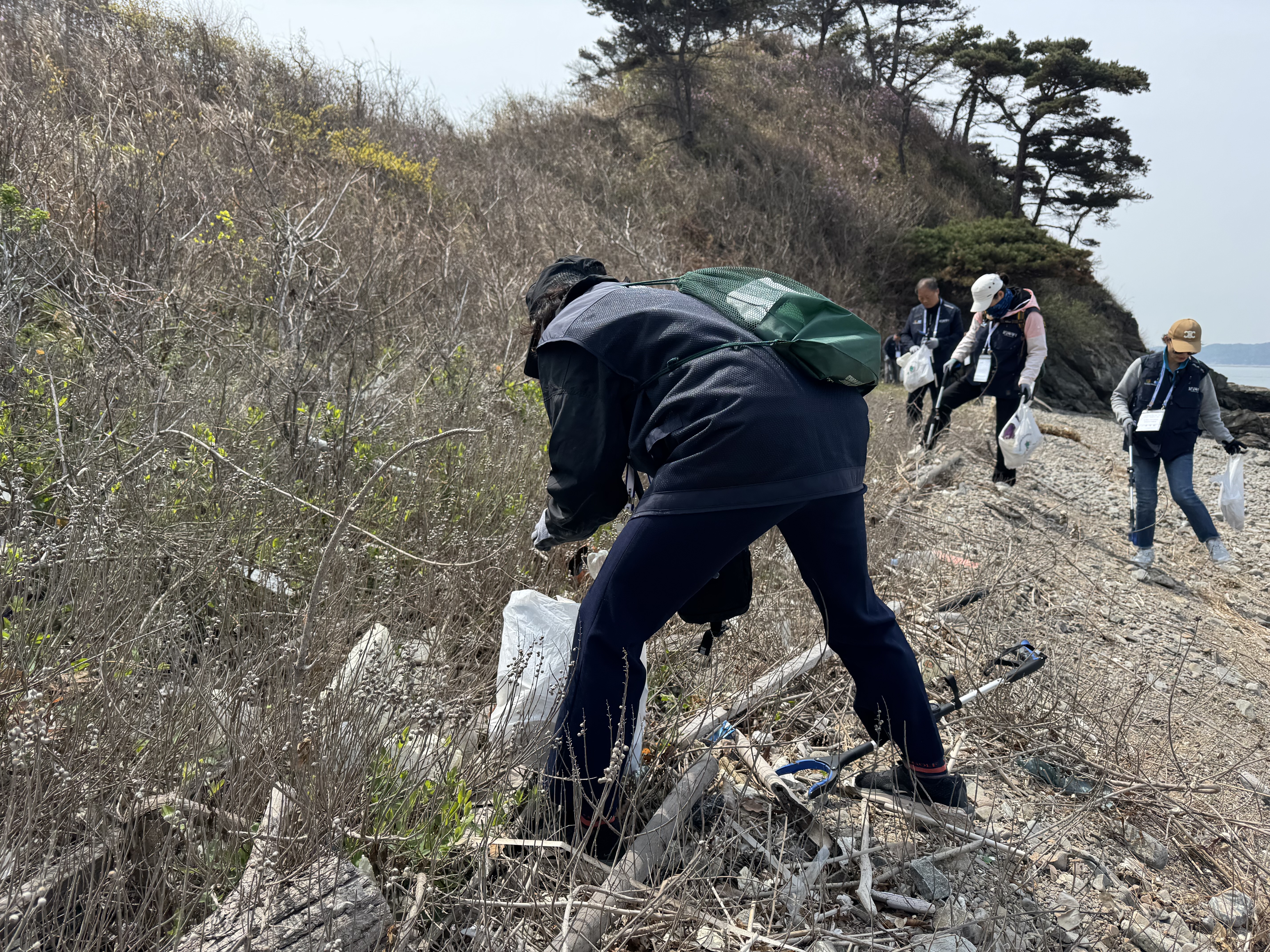 국화도 해변 현장 기록