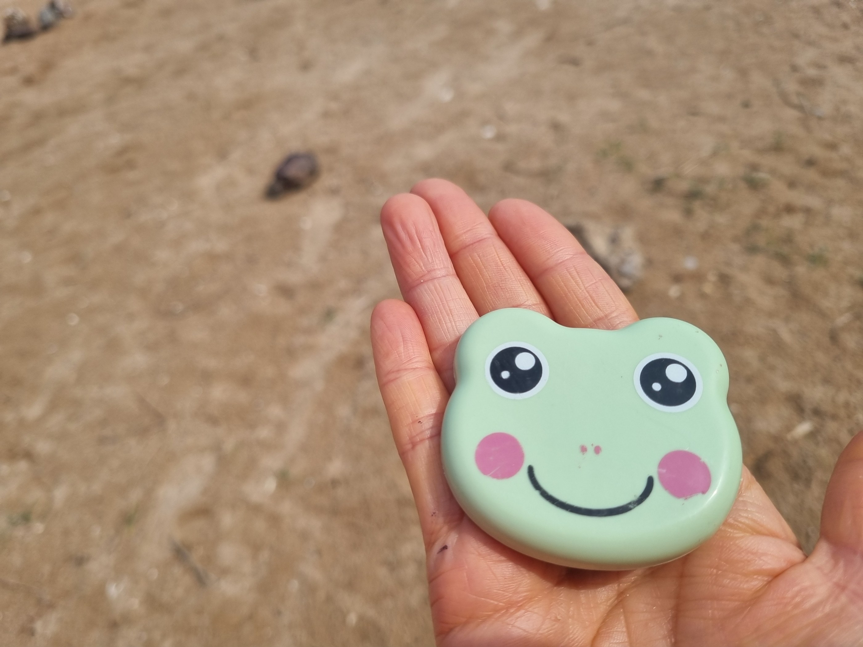실미해변 현장 기록