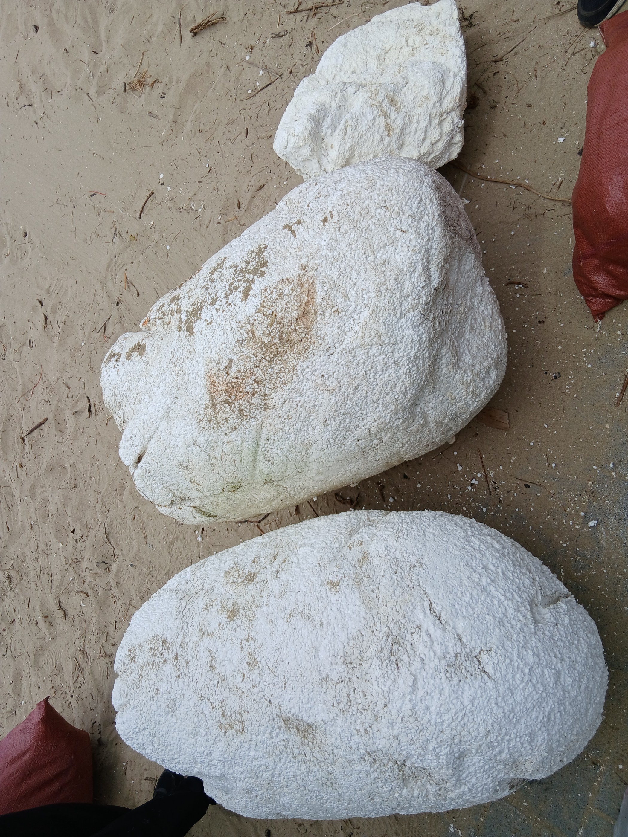 적치·저울·특이 기록