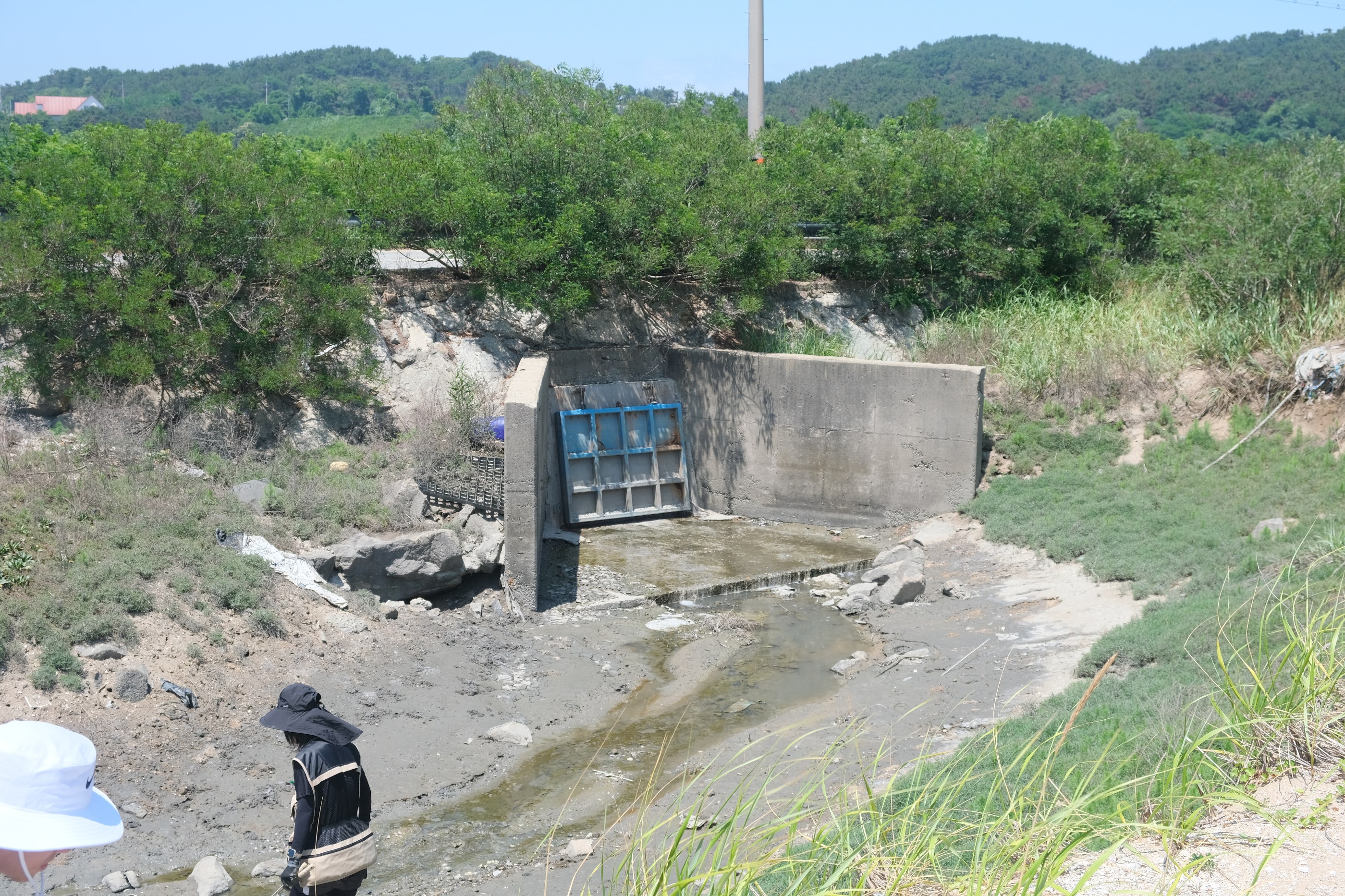 선녀바위해변 현장 기록