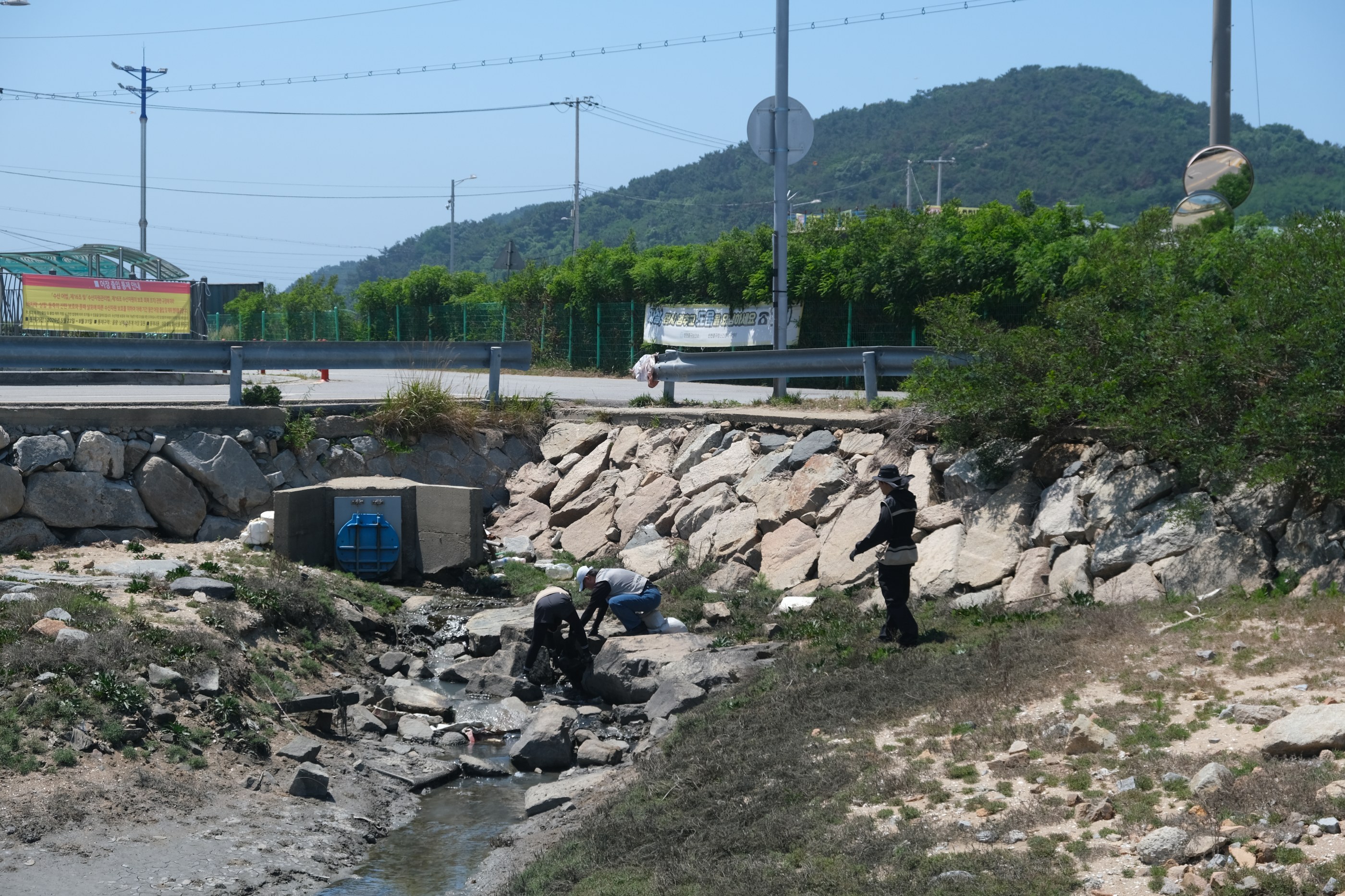 선녀바위해변 현장 기록