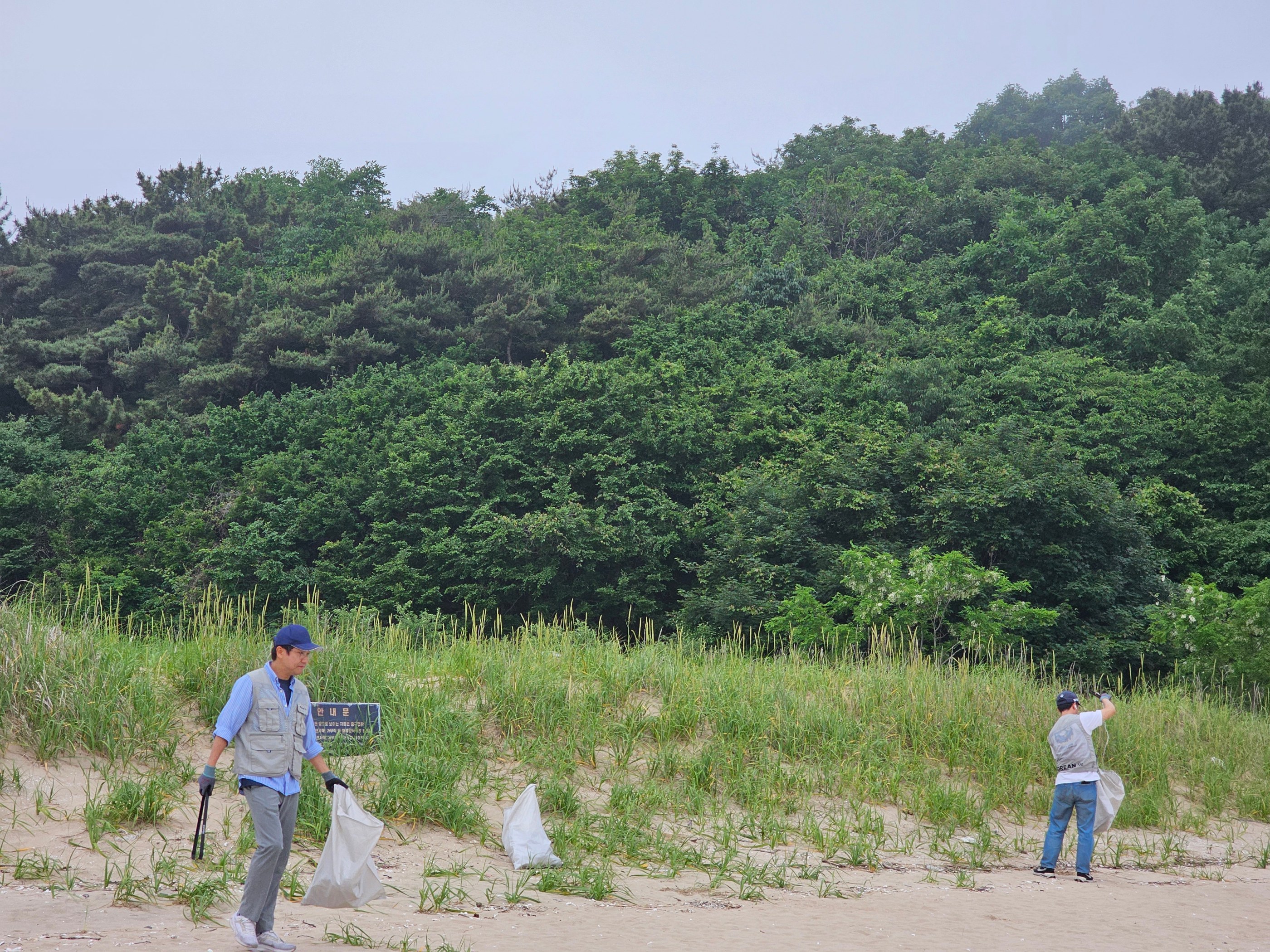 실미해변 현장 기록
