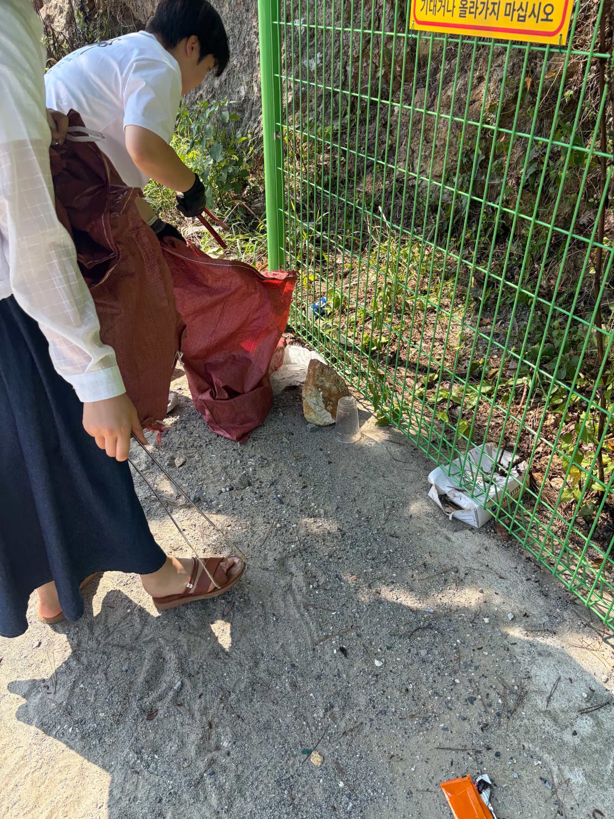 원산도 해수욕장 현장 기록