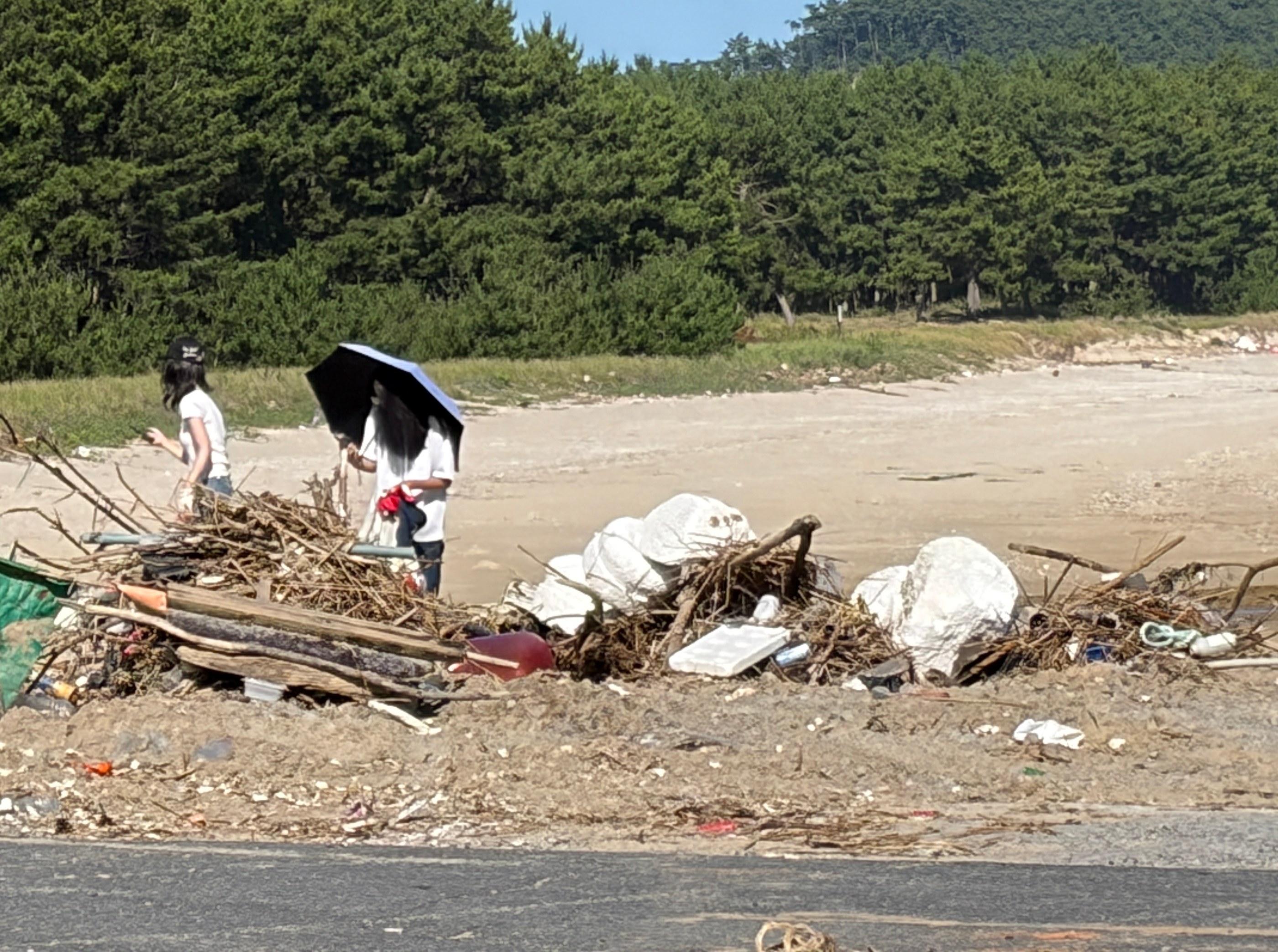 원산도 해수욕장 현장 기록