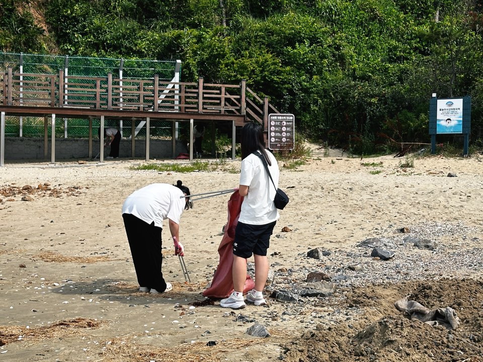 삼봉해수욕장 현장 기록