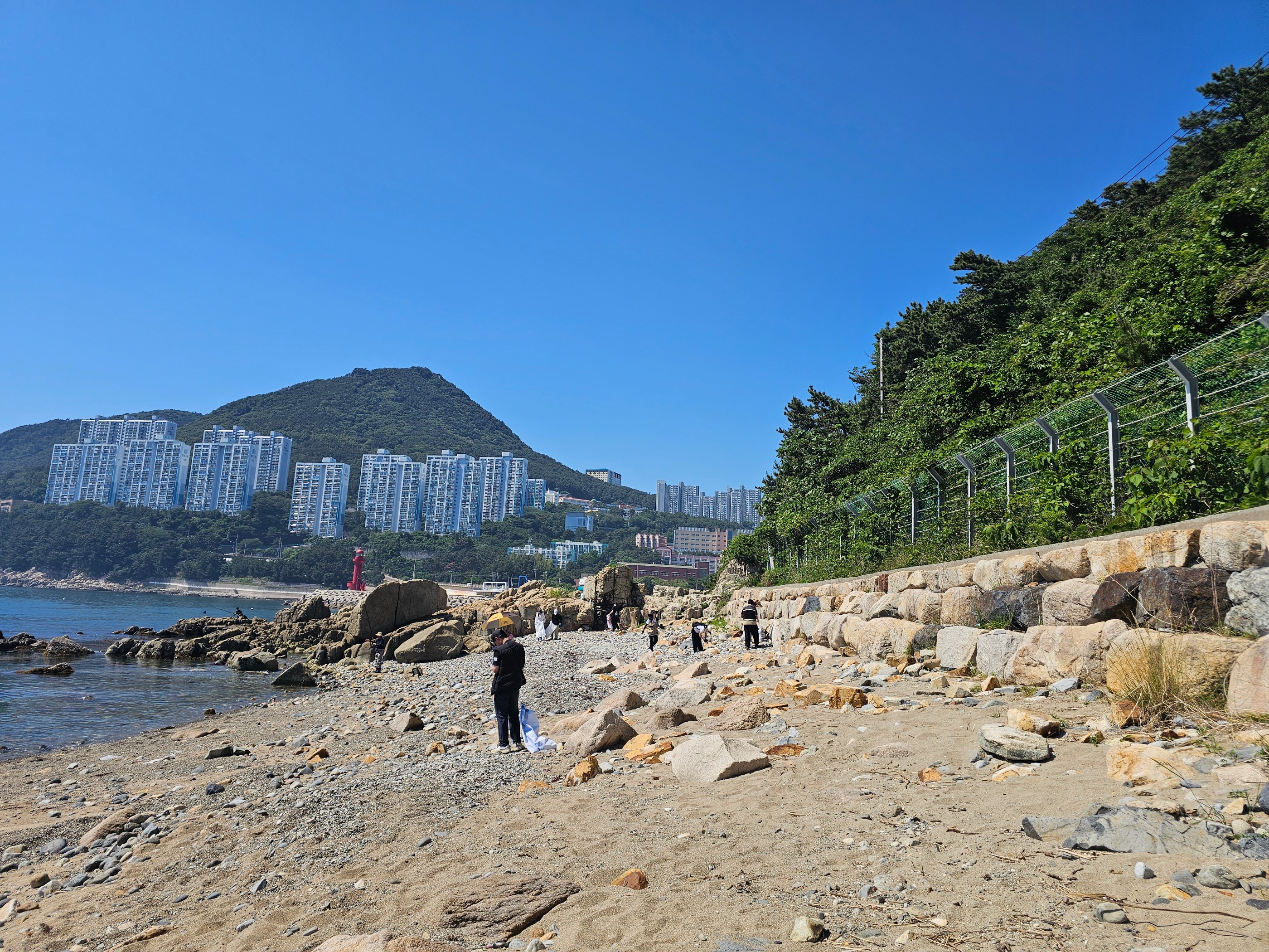 함께 만드는 깨끗한 해변! 26바다의날 해변 플로깅(부산 영도 중리노을전망대) 35