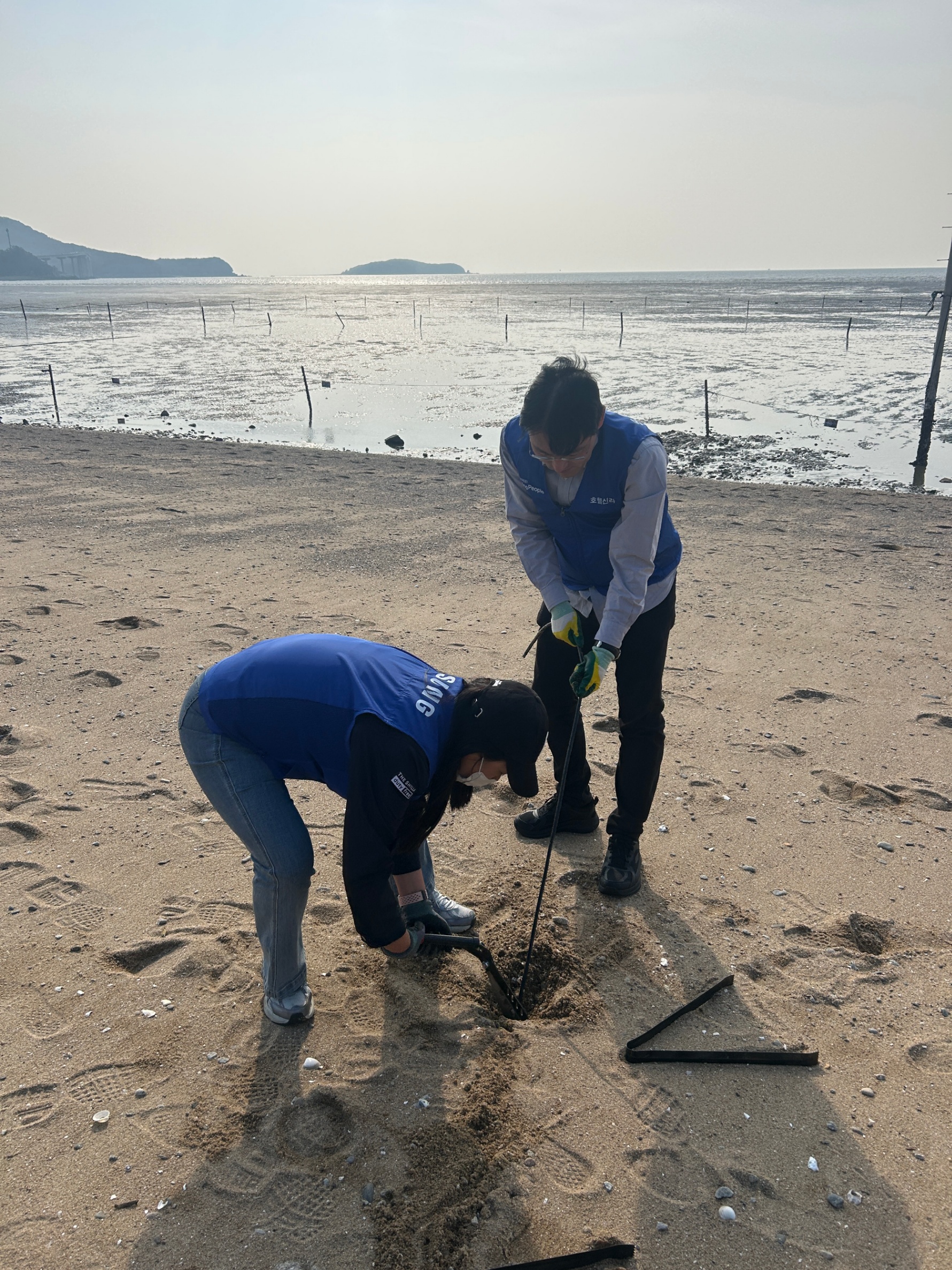 우리의 바다가 되어버린 마시안, 진짜 반려해변 이야기 4