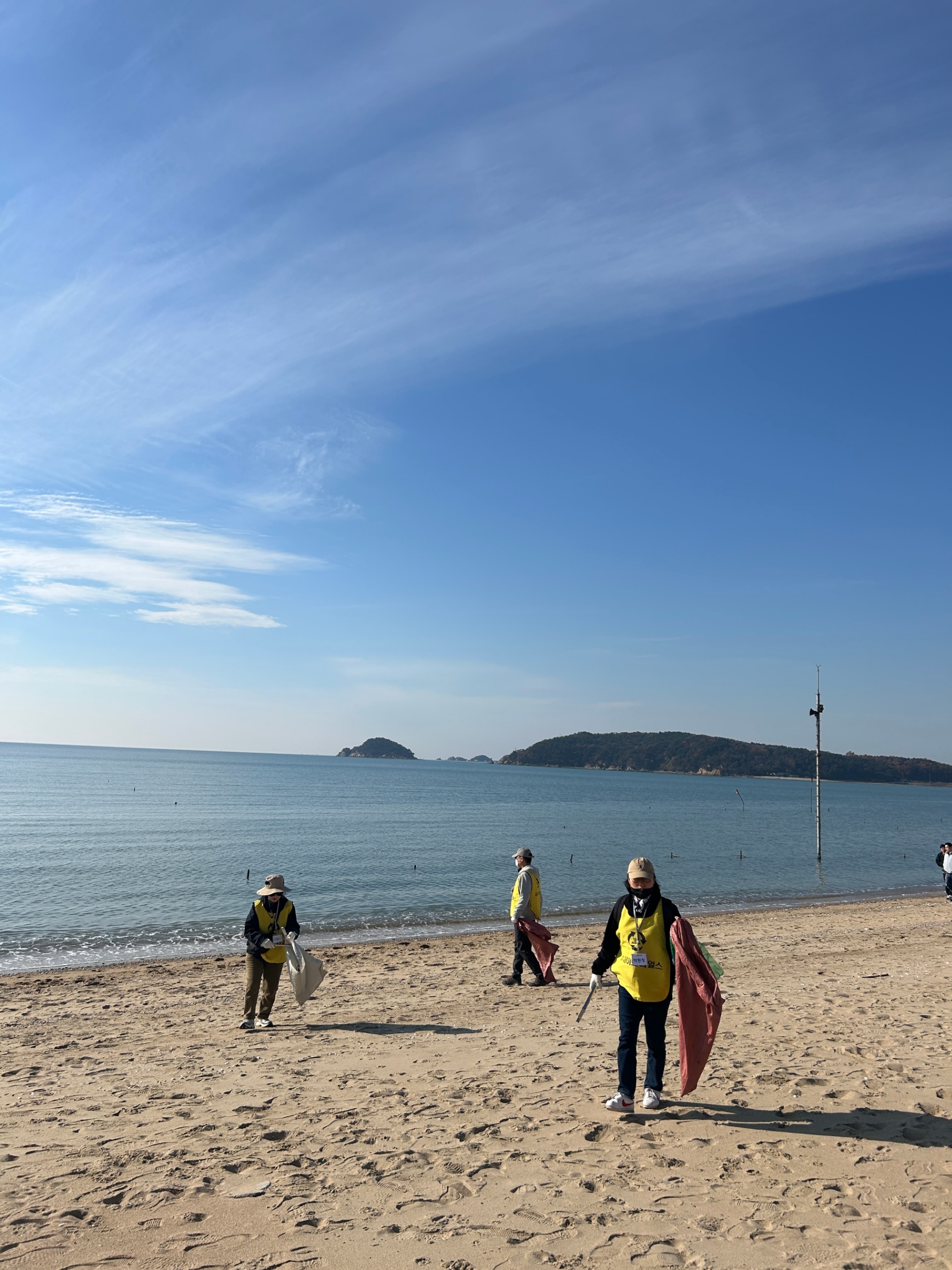 “대장정의 끝과 새로운 시작 — 세이브더얼스와 함께한 마지막 정화 기록” 10