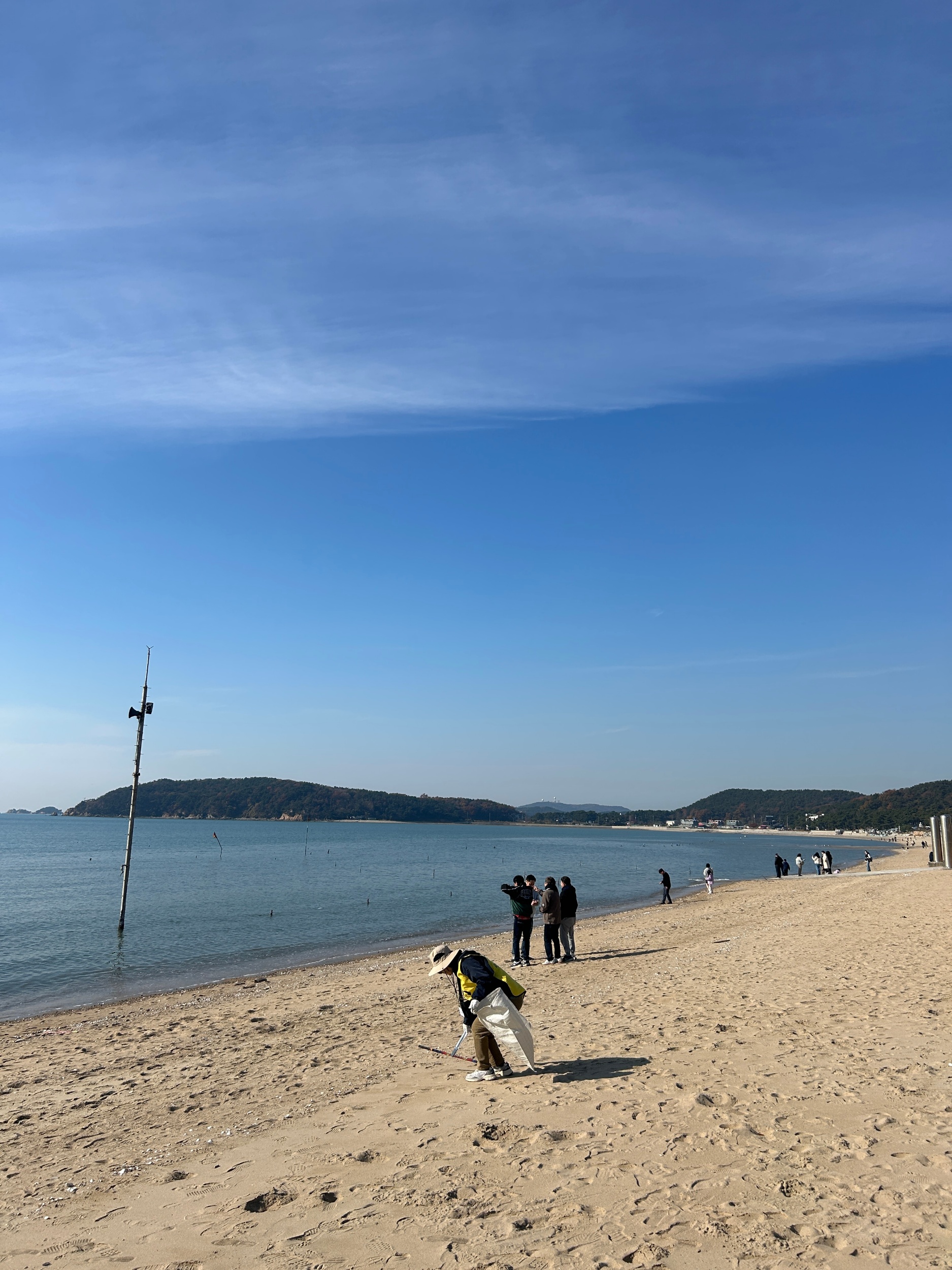 “대장정의 끝과 새로운 시작 — 세이브더얼스와 함께한 마지막 정화 기록” 8
