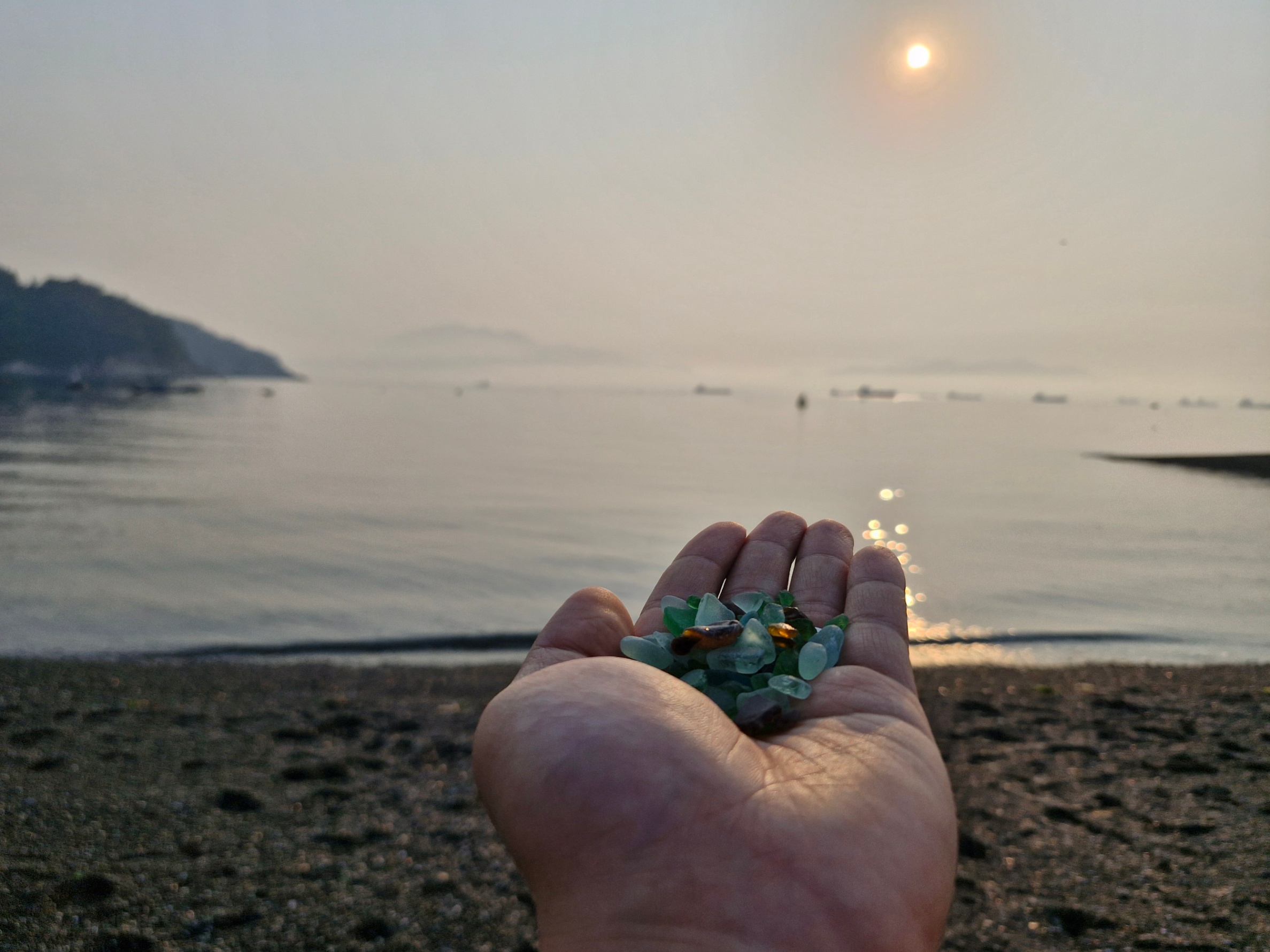 누군가가 태어나서 처음 본 바다가 우리 반려해변이랍니다. 11