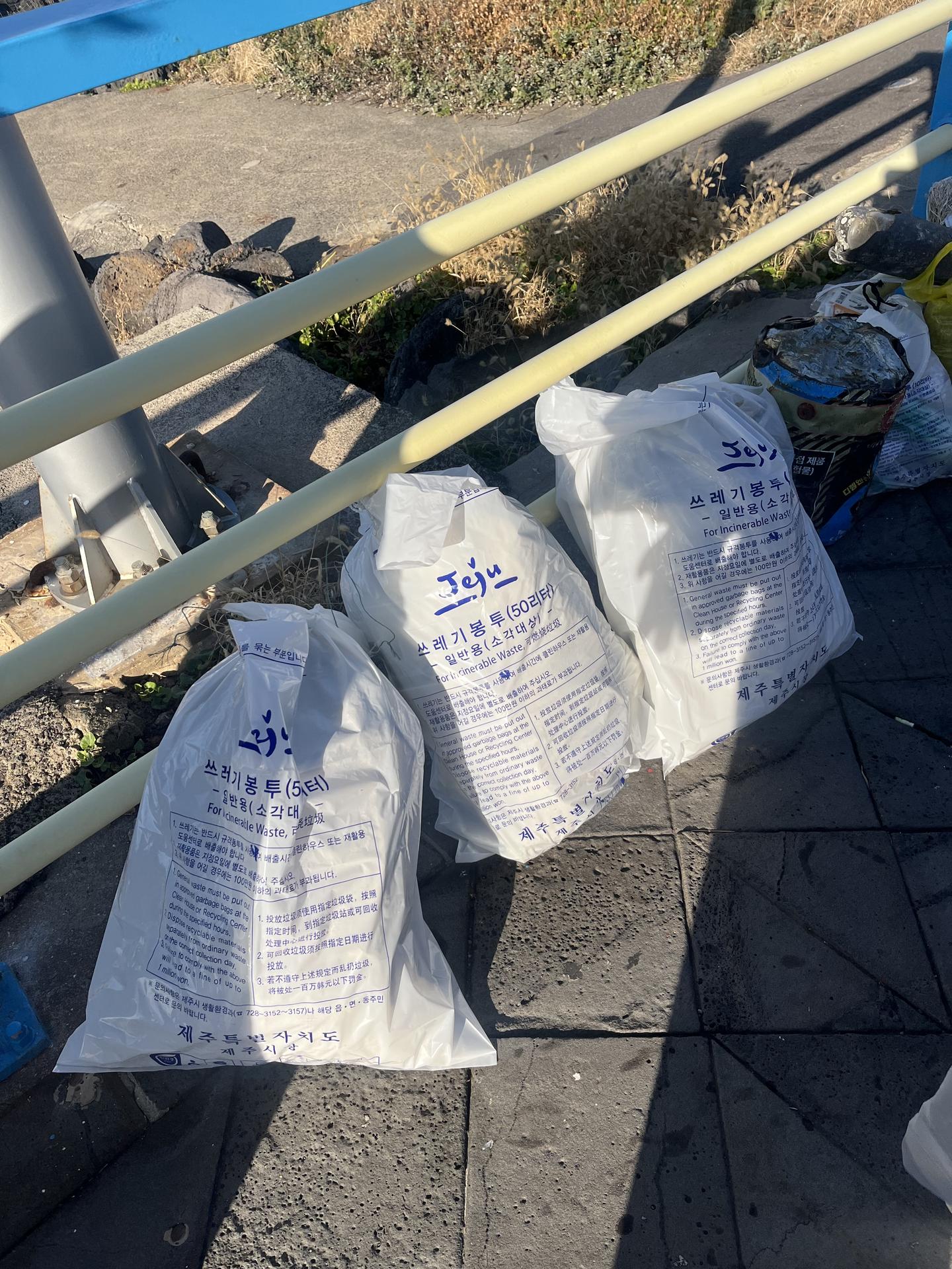 바다 깨끗하게 한손 보태기 2