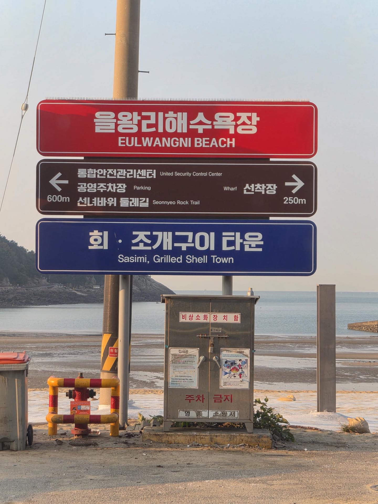 바다는 포그니가 지킨다 7