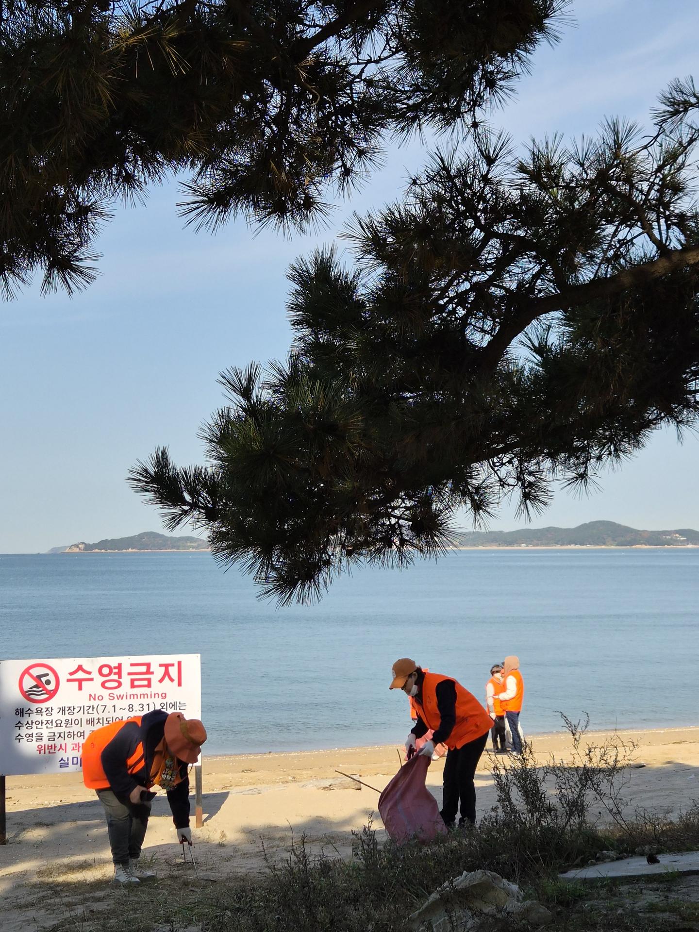 바다는 포그니가 지킨다 29