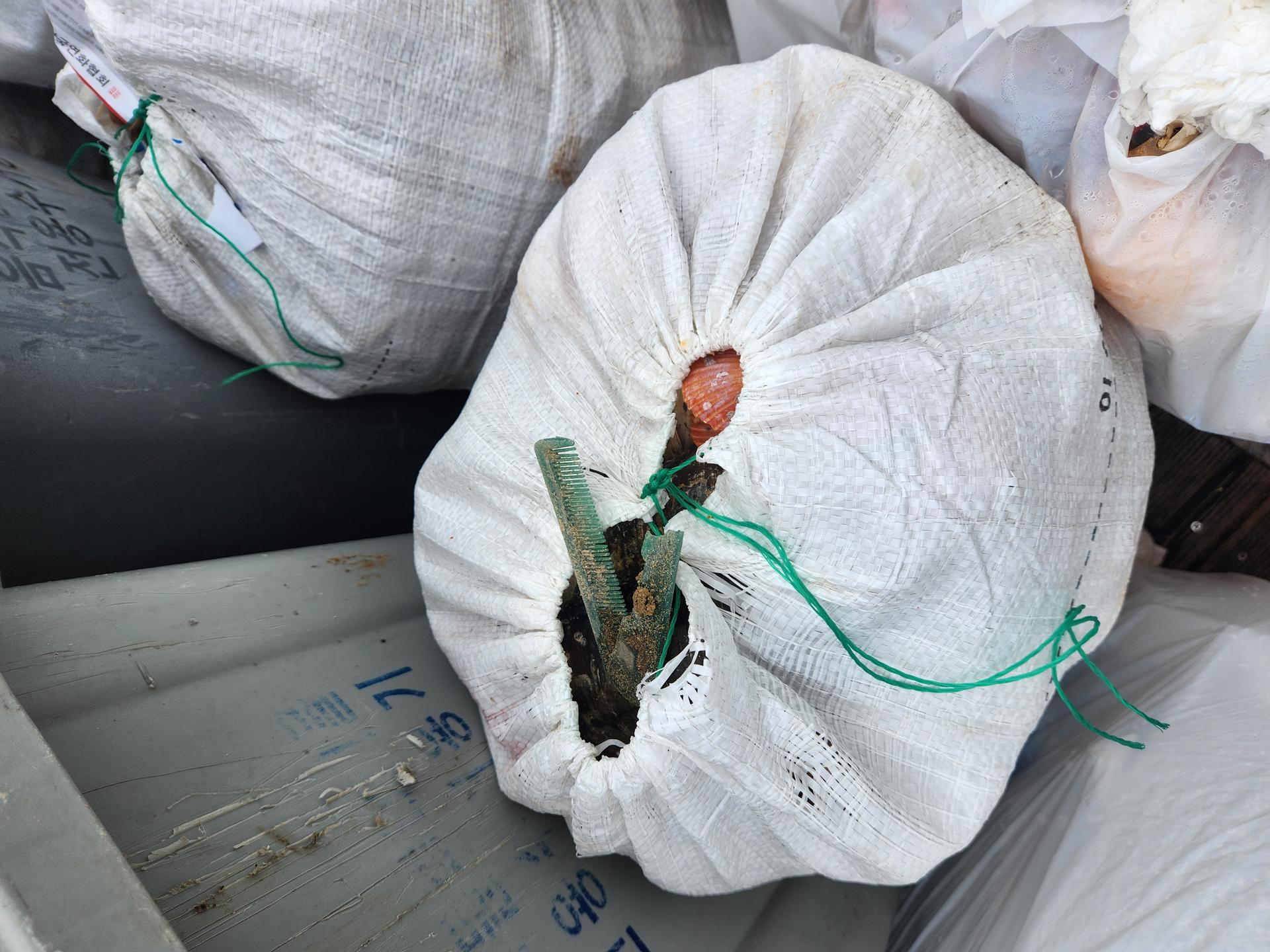 우리 손으로 만드는 깨끗한 해변 3