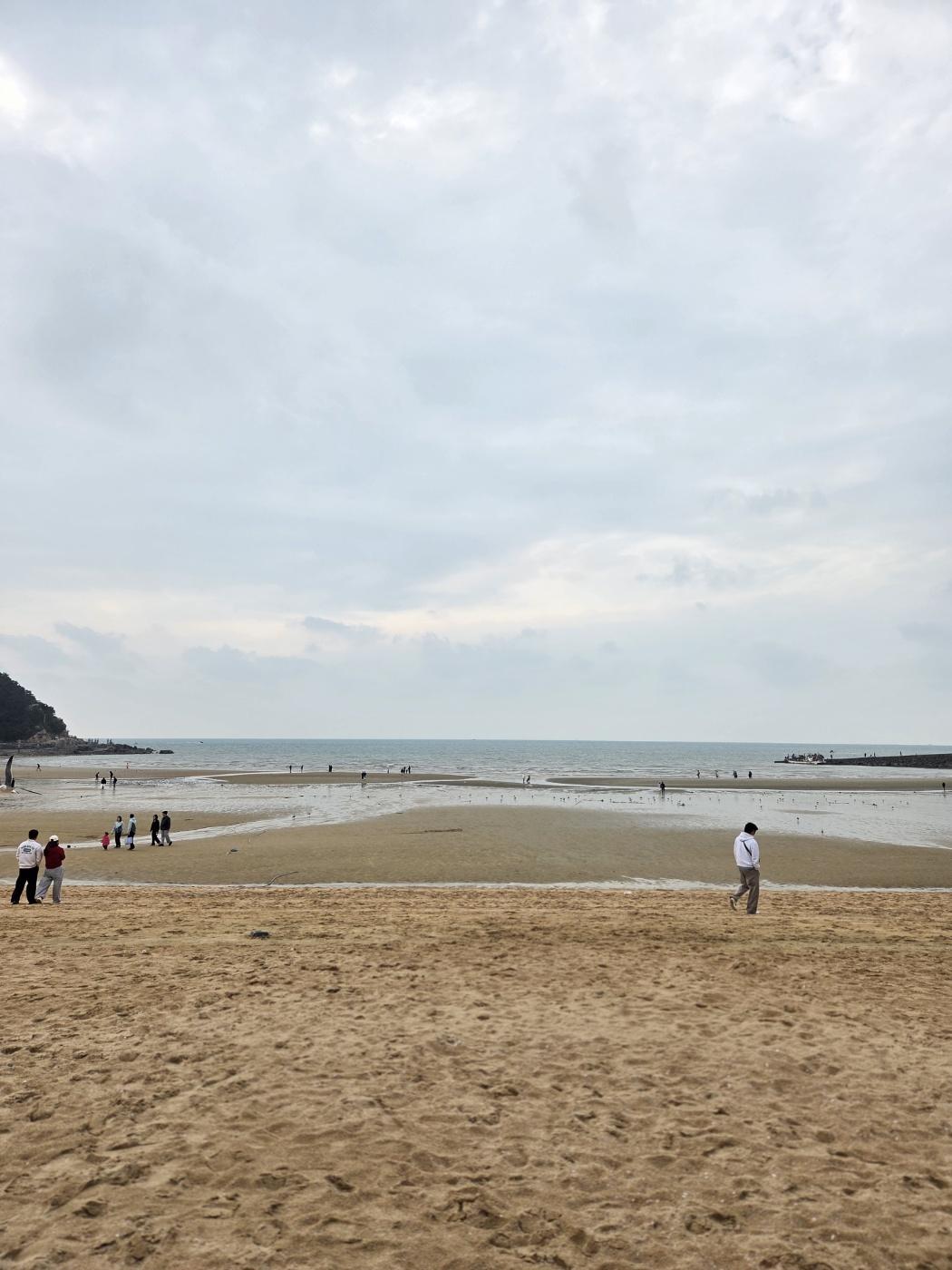 우리 손으로 만드는 깨끗한 해변 17
