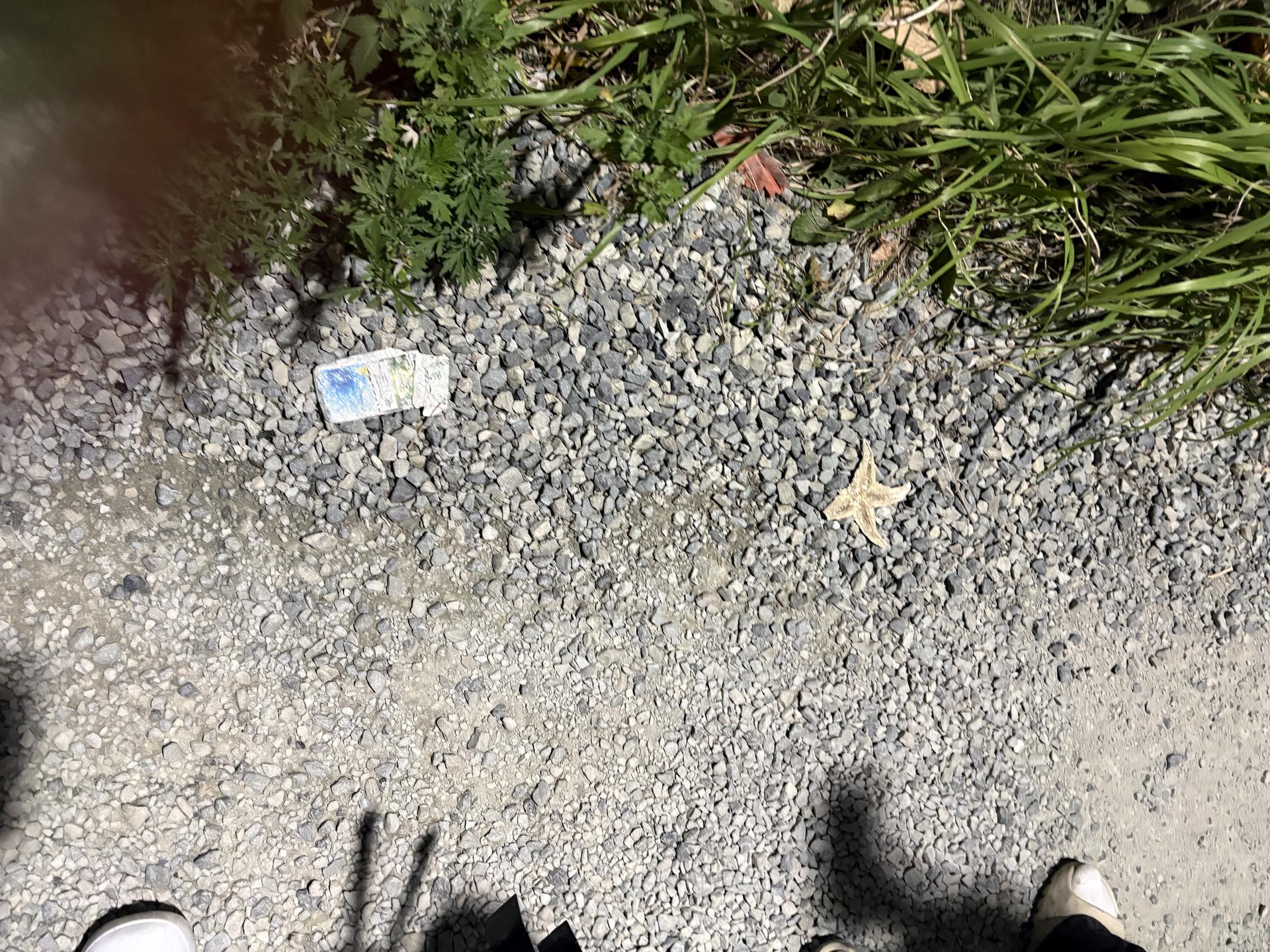 뿌듯함을 느낀 플로깅 32
