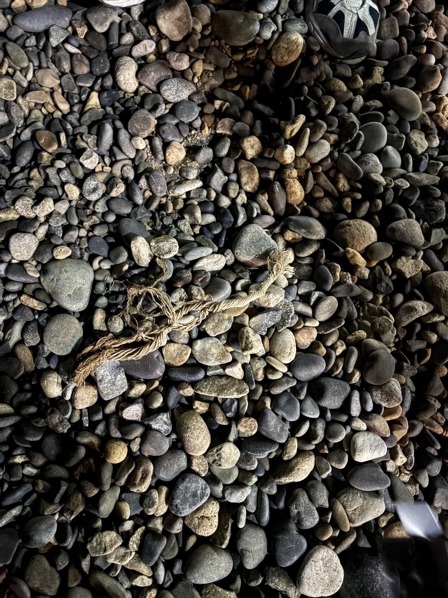 소소한 행복 28