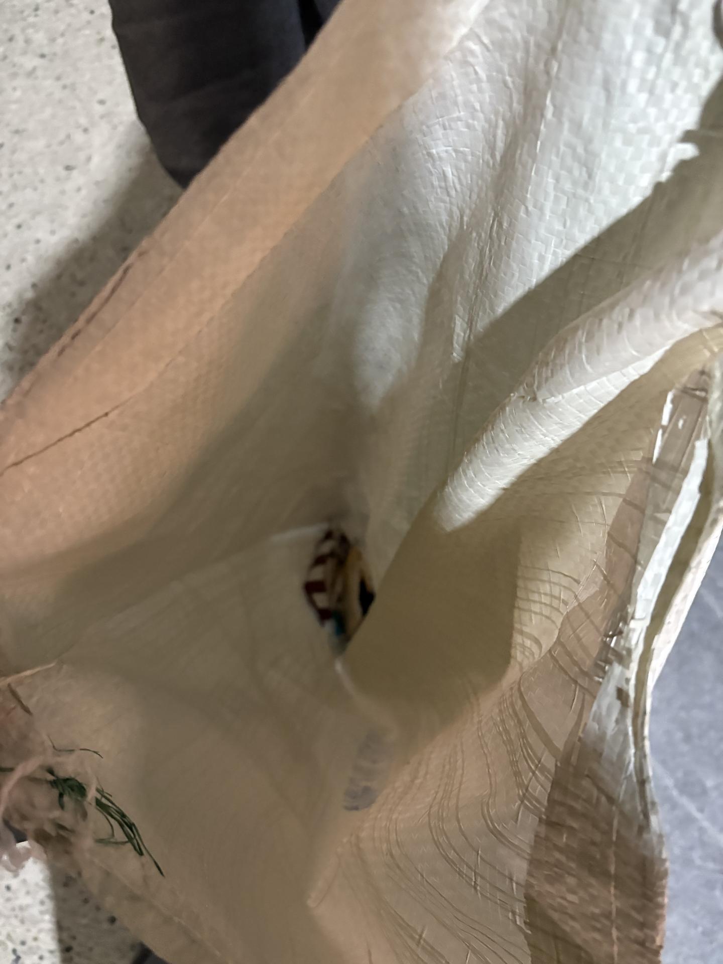 강추위에도 식지 않은 열정! 19