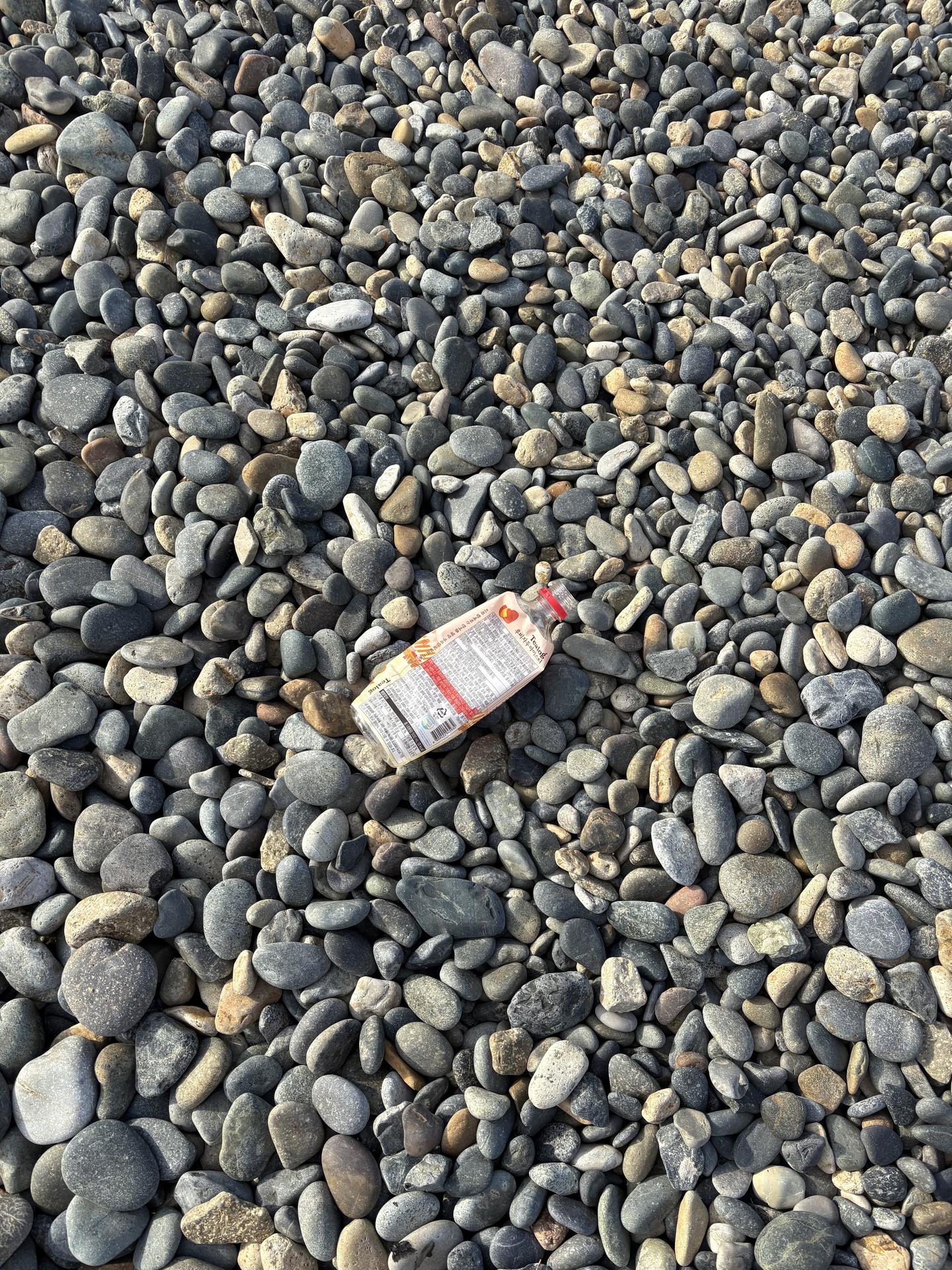아쉬운 마지막 활동 25