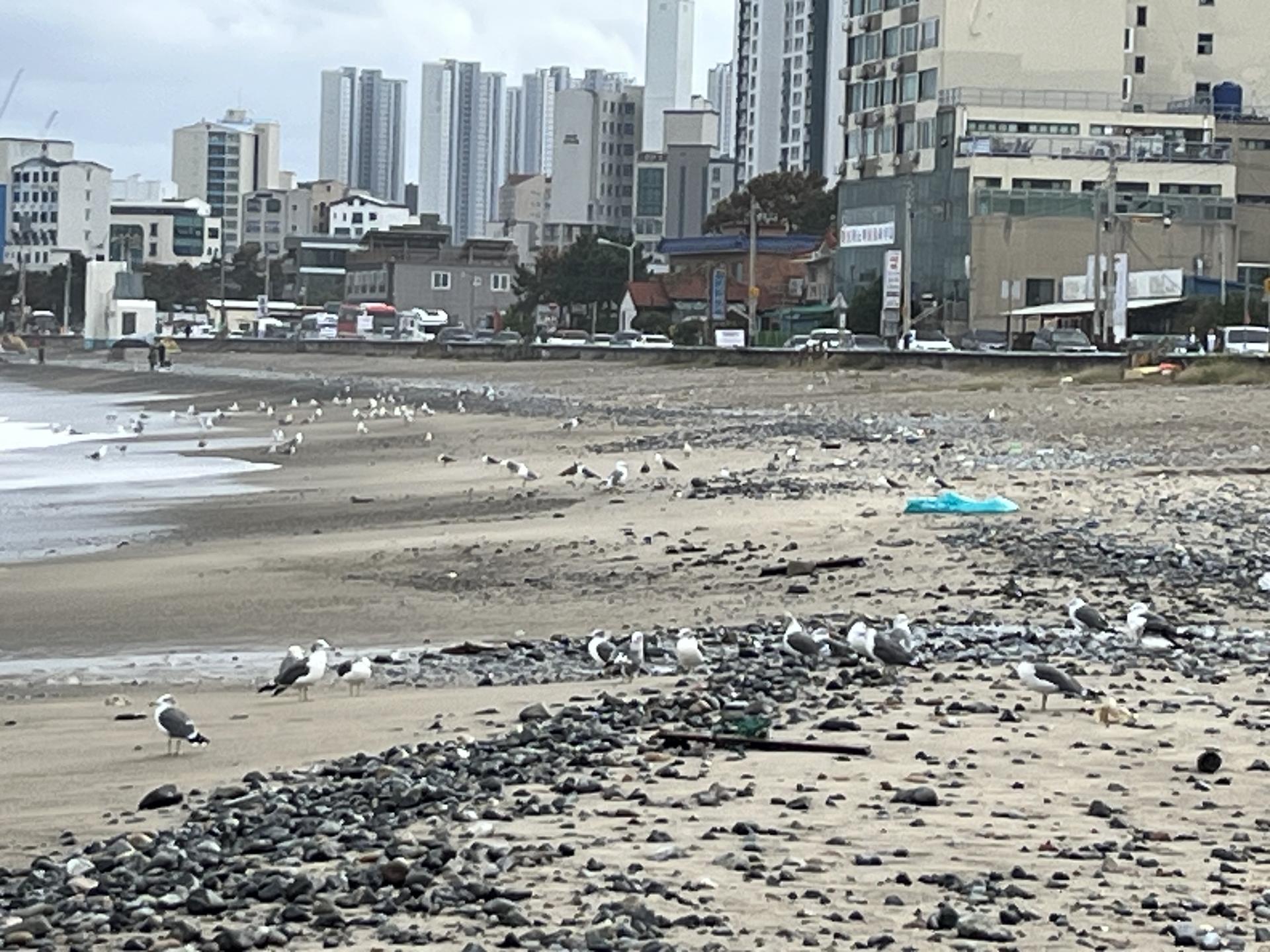 우리를 더 단단히 묶어주는 海봄 19