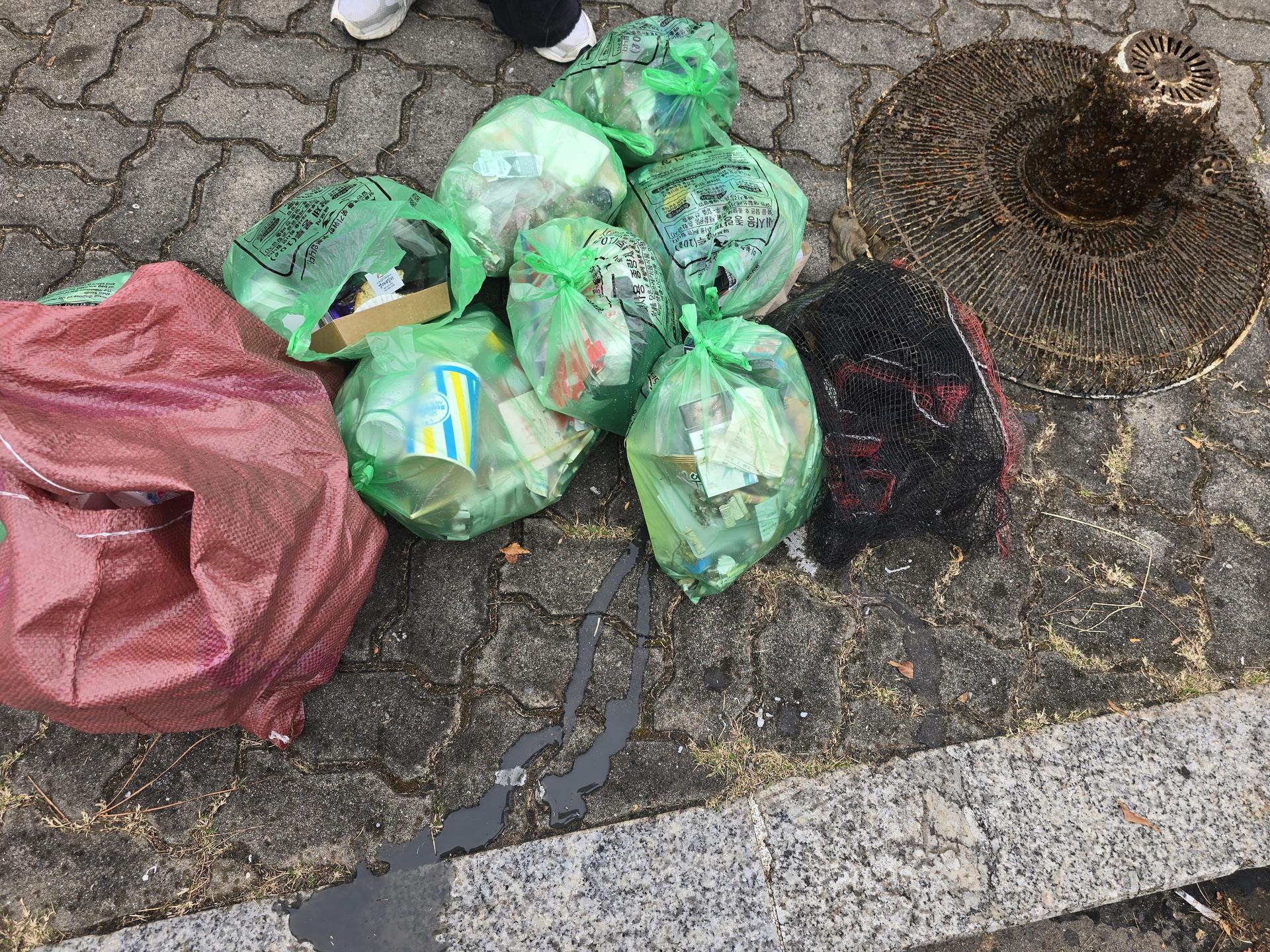 활동 현장 기록