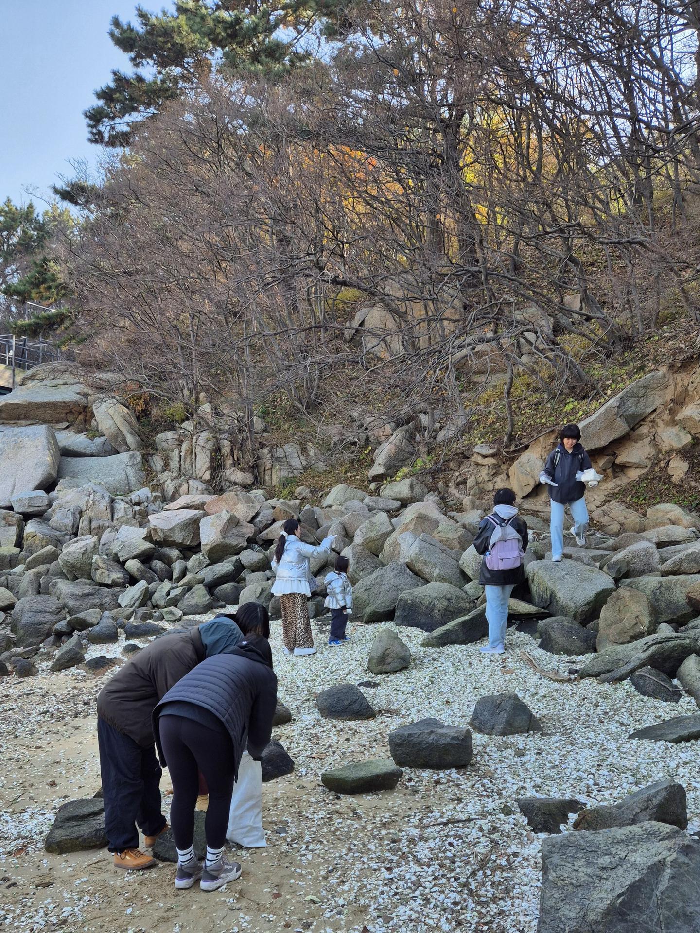 아름다운 낙산 비치클린 6