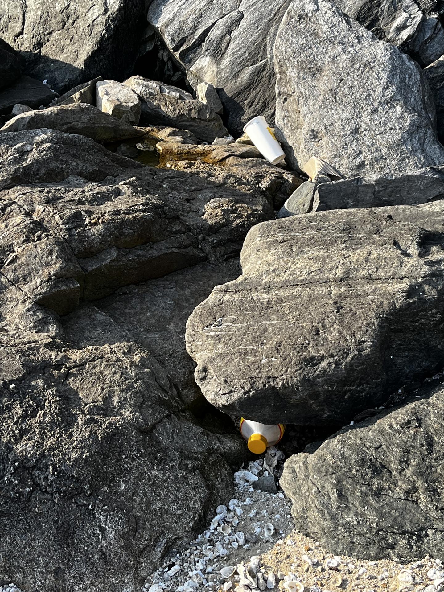 캠핑장 옆 해변도 푸르게!!! 13