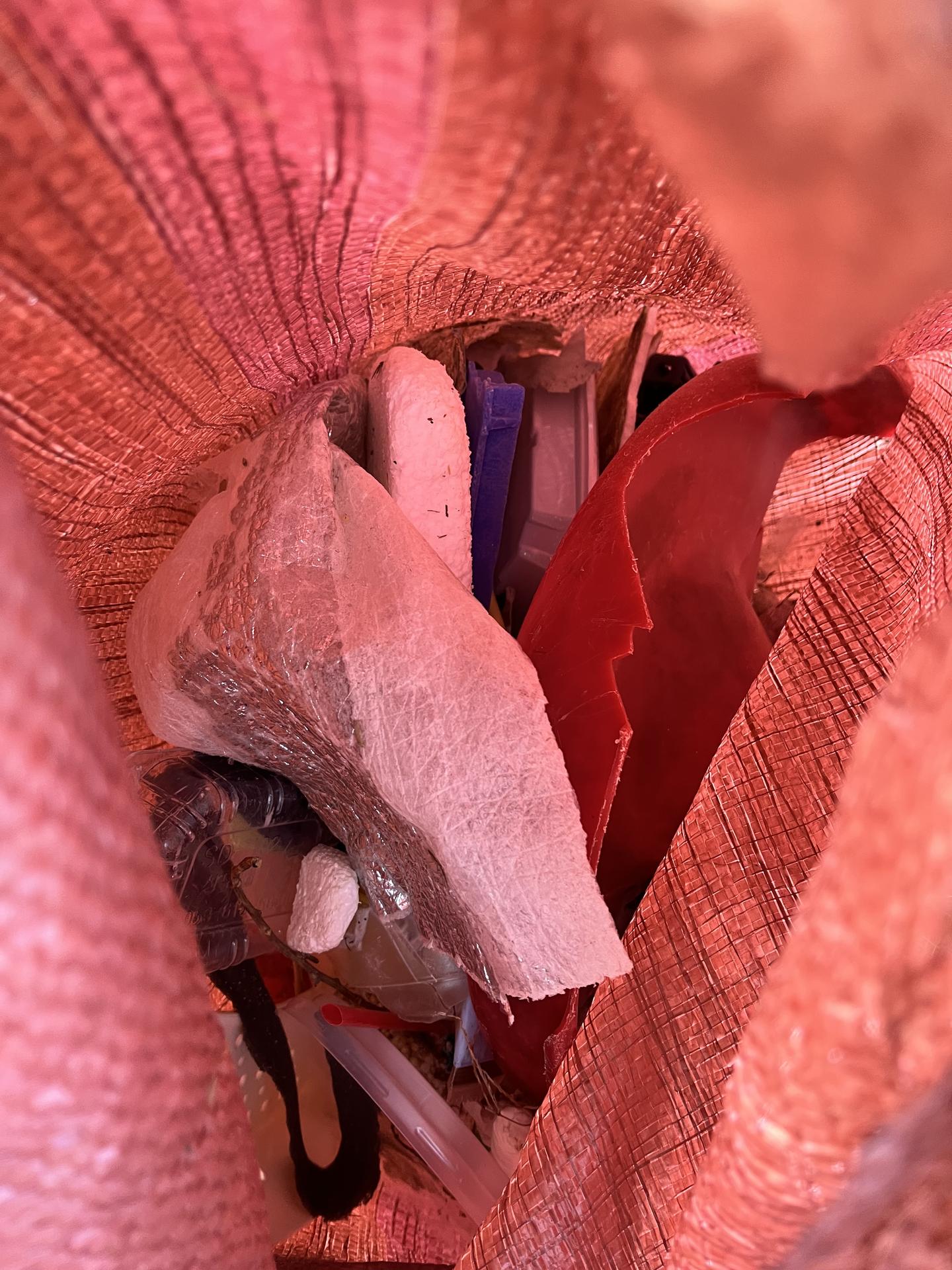 바다를 지키기 위한 작은 행동이 모여 큰 변화를 만든다는 것을 느낀 하루였다. 12