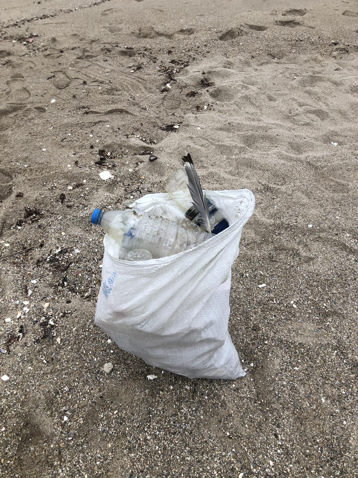 🌱 보람이 함께 하는 해변정화 🌊 12