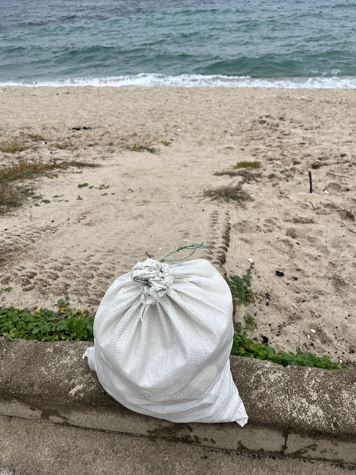 활동을 할수록 뿌듯함이 배로 느껴져요💙 3