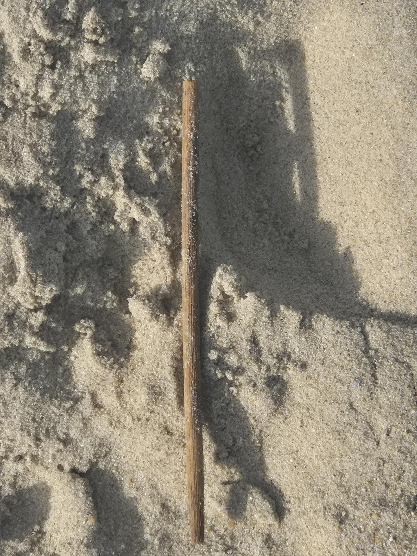 우리의 작은 손길로 이루어진 두번째 파도🌊 4