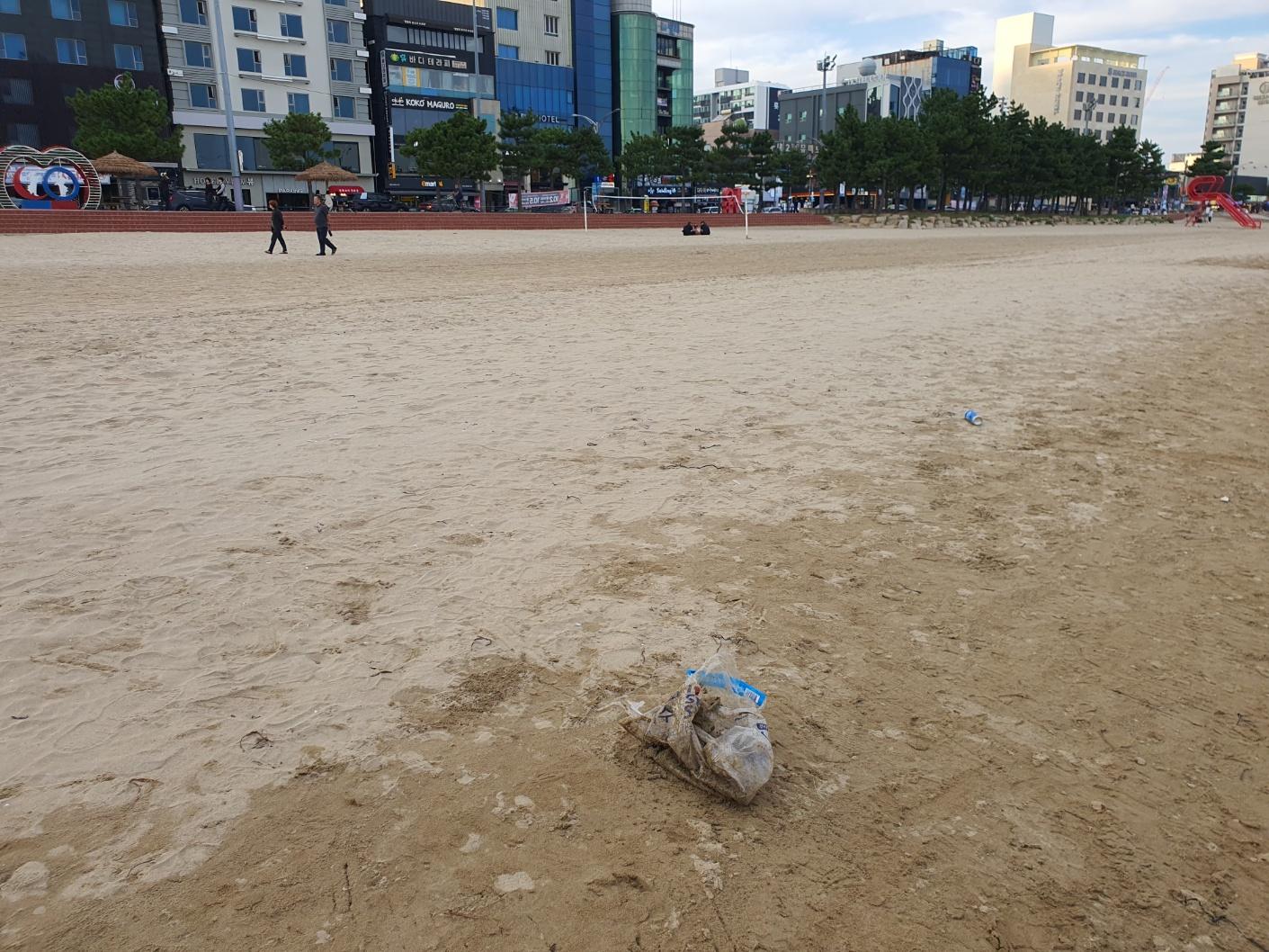 우리의 작은 손길로 이루어진 두번째 파도🌊 12