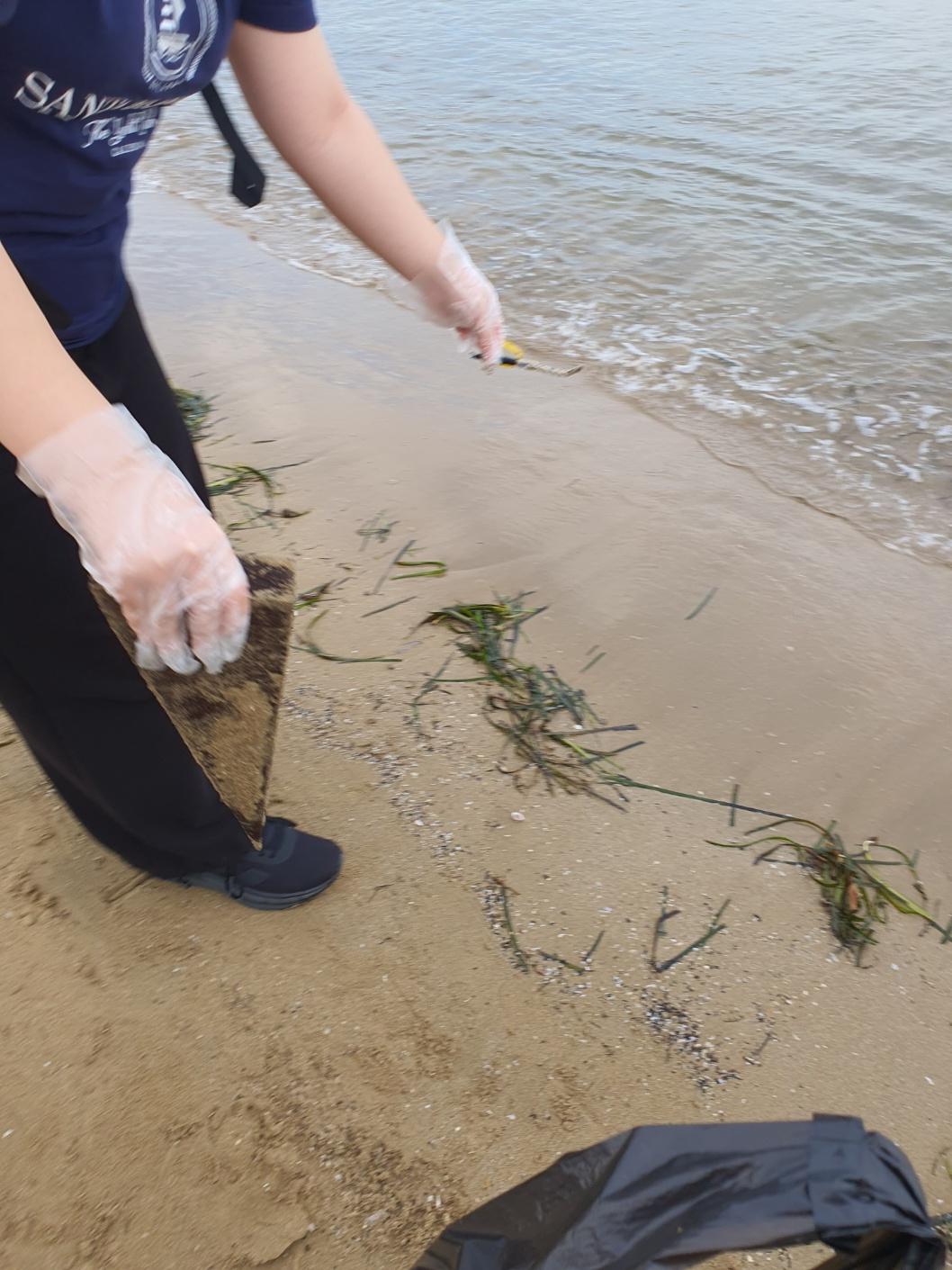 송도해변과 함께한 마지막 항해 10