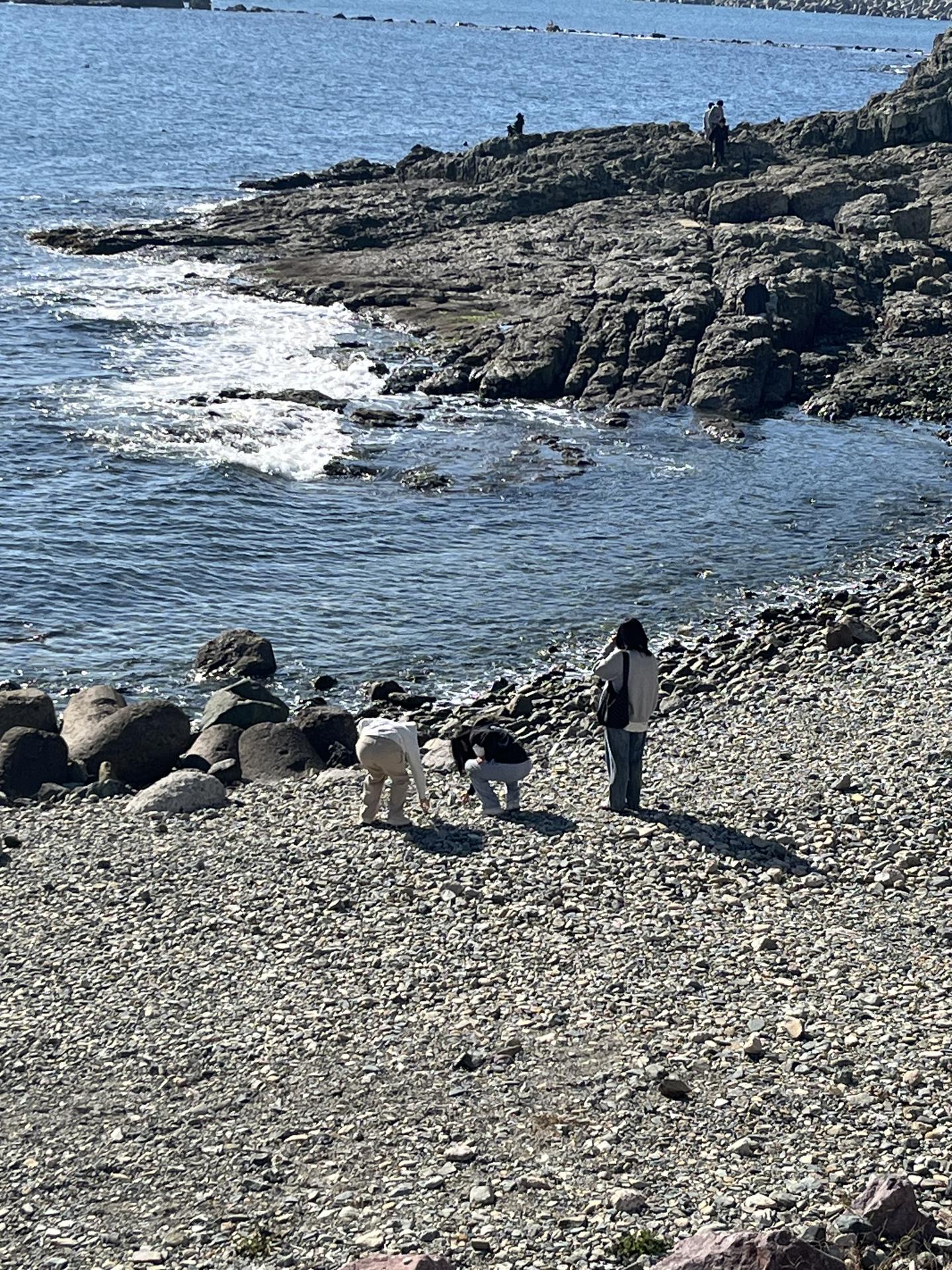 🌊광안리 해변 정화🌊 21