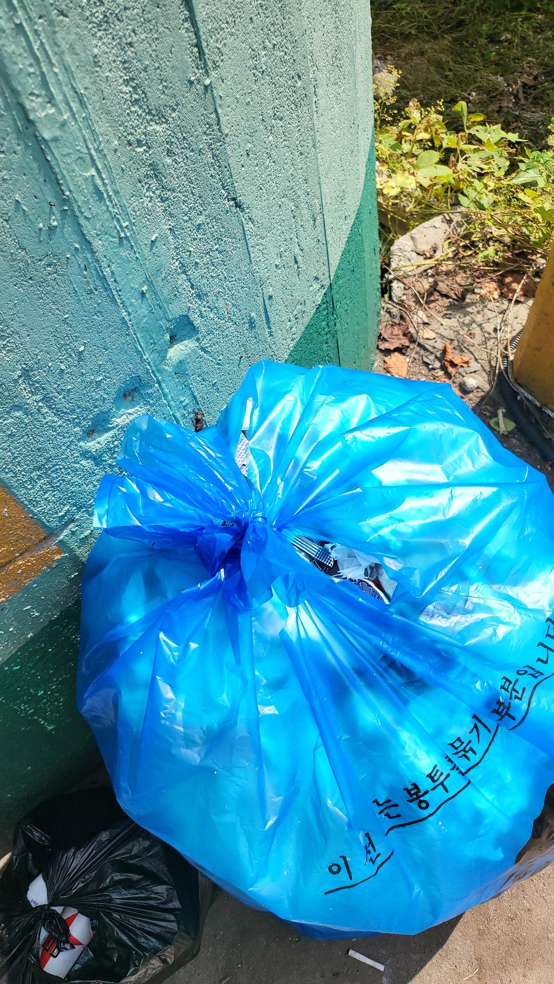 “유스그린리더들이 직접 손을 모아 해변 곳곳을 깨끗이 비우며, 바다와 마을에 다시 숨결을 불어넣었다.” 3