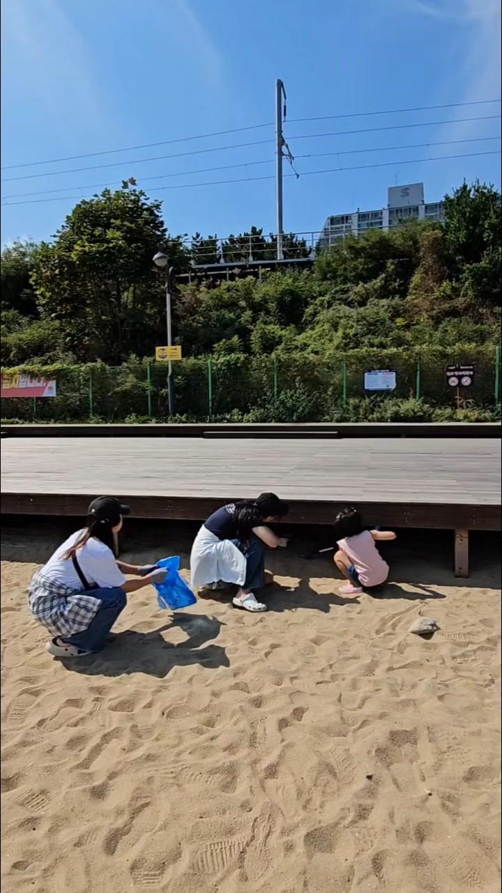 “유스그린리더들이 직접 손을 모아 해변 곳곳을 깨끗이 비우며, 바다와 마을에 다시 숨결을 불어넣었다.” 6
