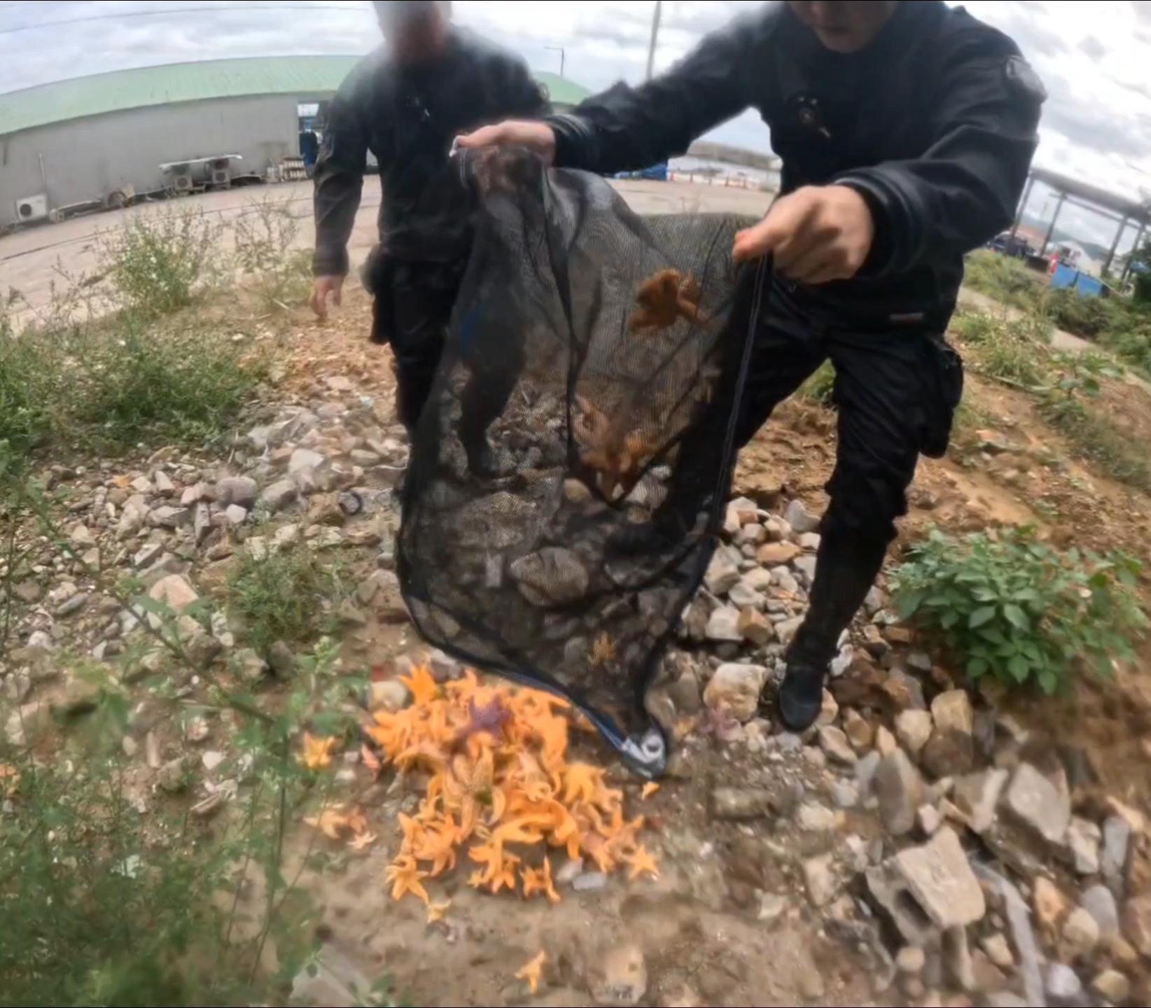 “씨피알 유스그린리더들이 함께 모여 바다와 항구를 깨끗하게 만들며, 즐거움과 뿌듯함 속에서 환경의 소중함을 배운 하루였다.” 21