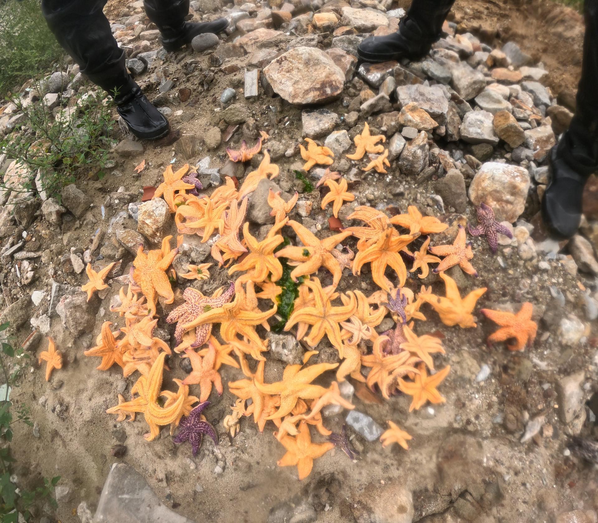 “씨피알 유스그린리더들이 함께 모여 바다와 항구를 깨끗하게 만들며, 즐거움과 뿌듯함 속에서 환경의 소중함을 배운 하루였다.” 22
