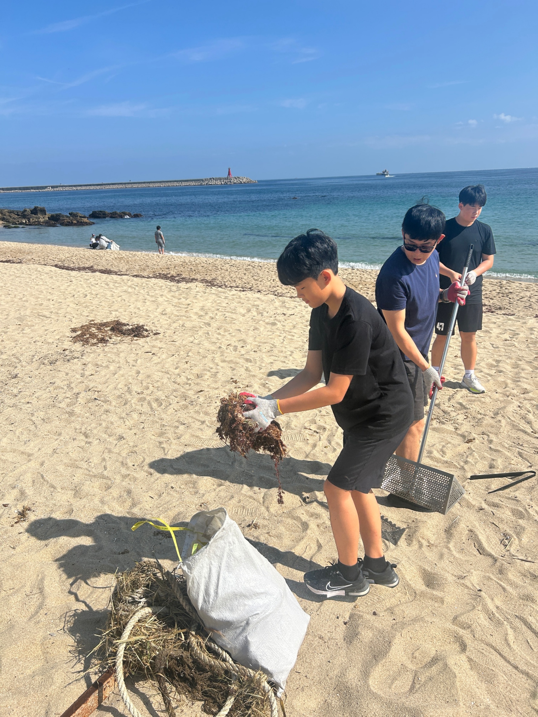 하평해변 활동 현장