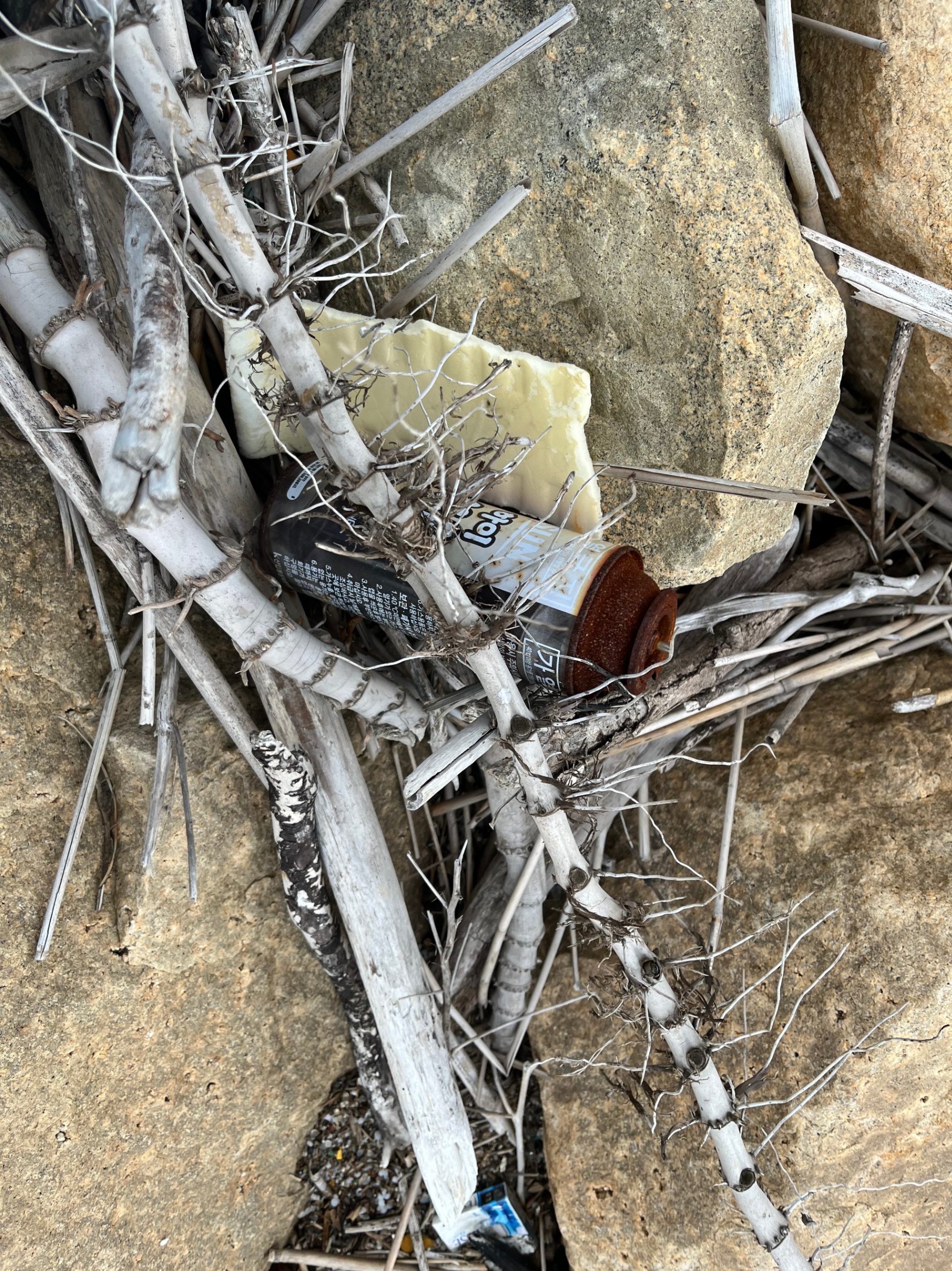 바다의 주인은 누구인가? 10