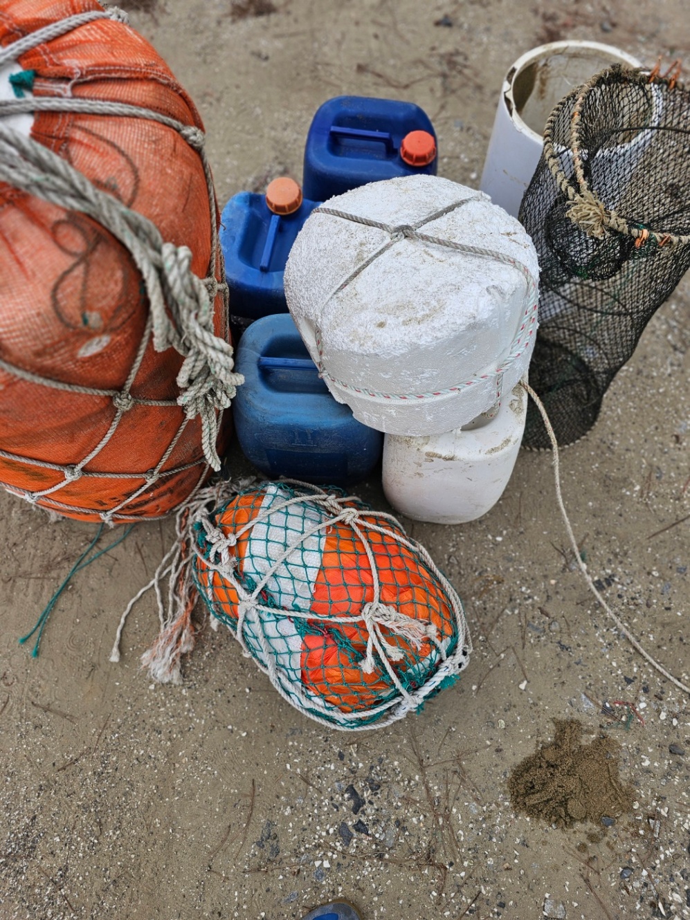 활동 현장 기록