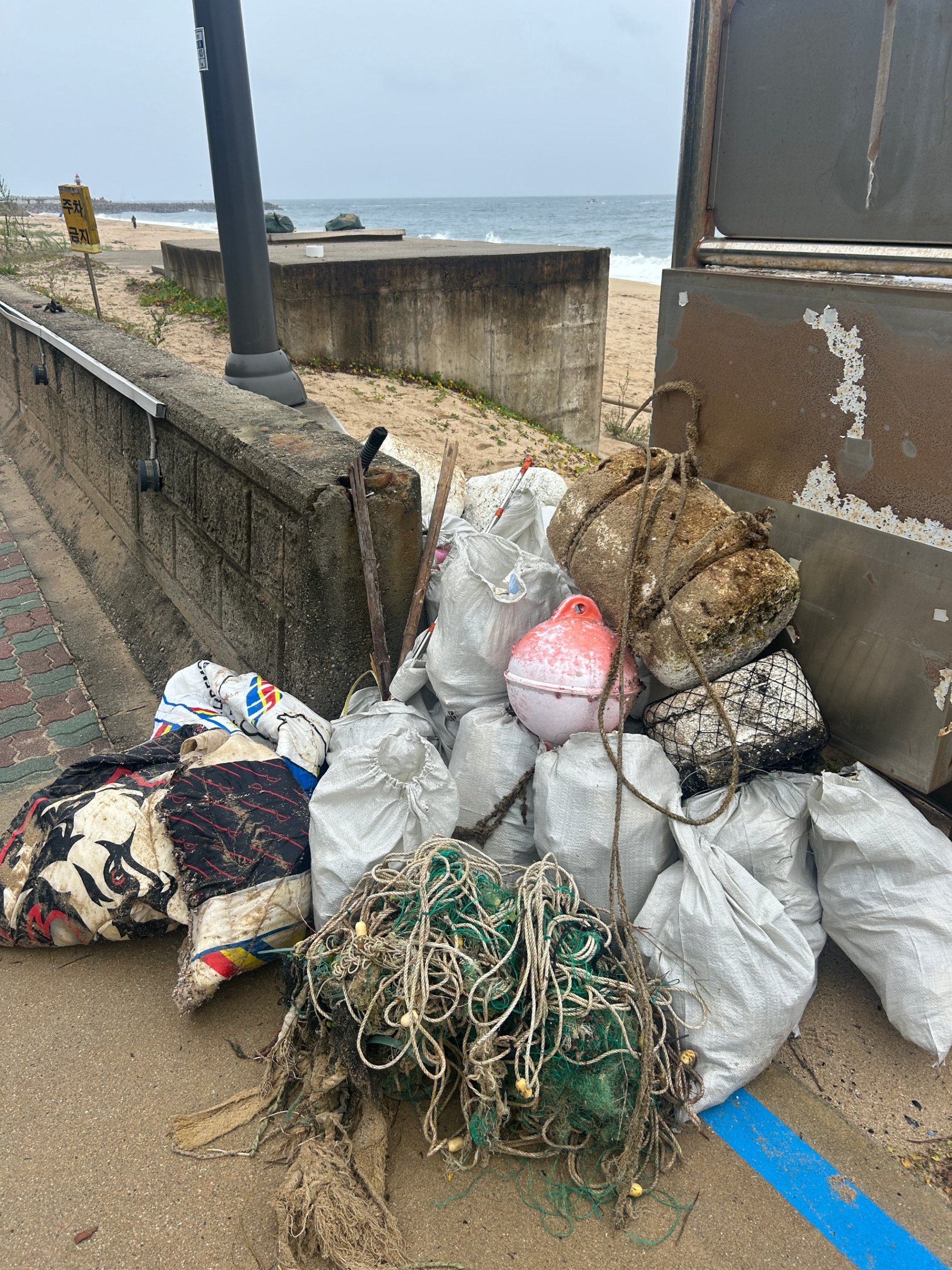 켄싱턴해변 5