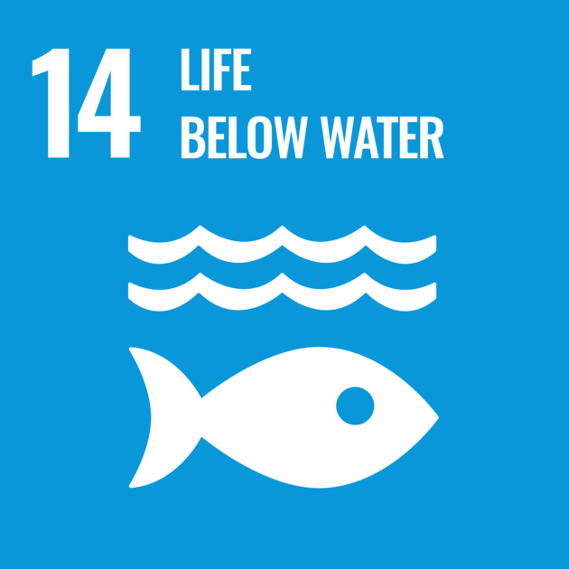 [🥽 UN-SDGs(지속가능발전목표) 14] 해양 생태계 보호를 위한 데이터 플로깅 (feat. 인천시자원봉사센터 협력)