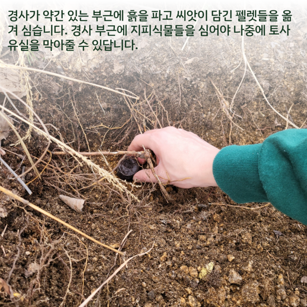 지피식물 심기 : 활동 플랜