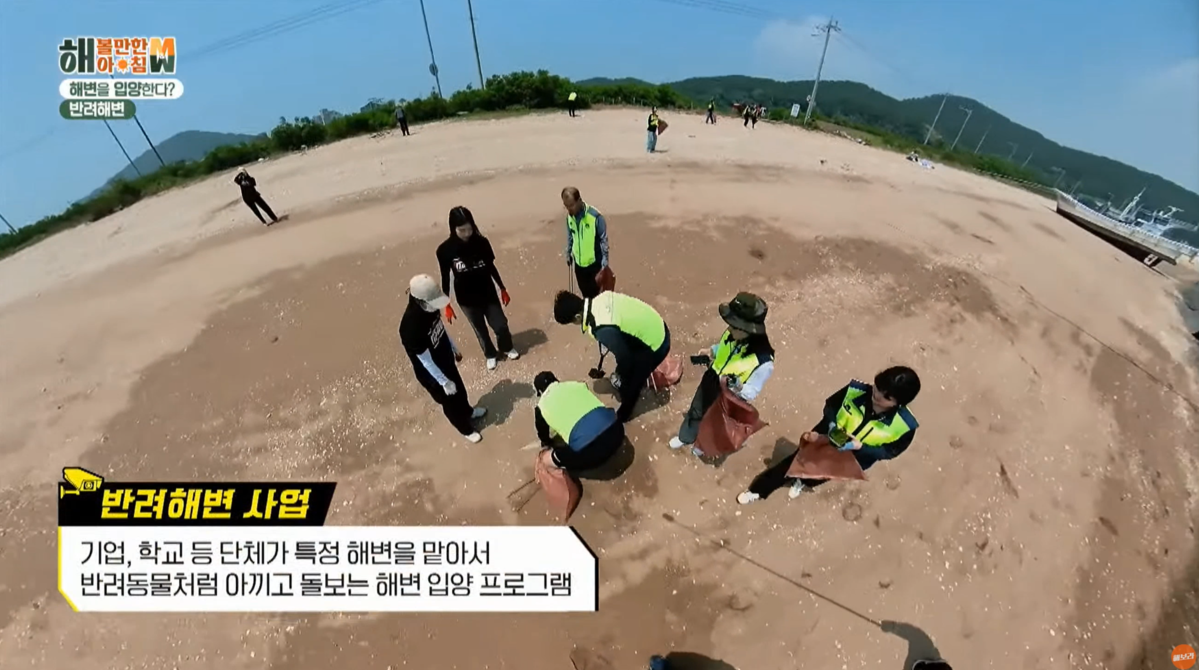 [🎬 KBS ] 👓이타서울 선녀바위 반려해변 정화 현장